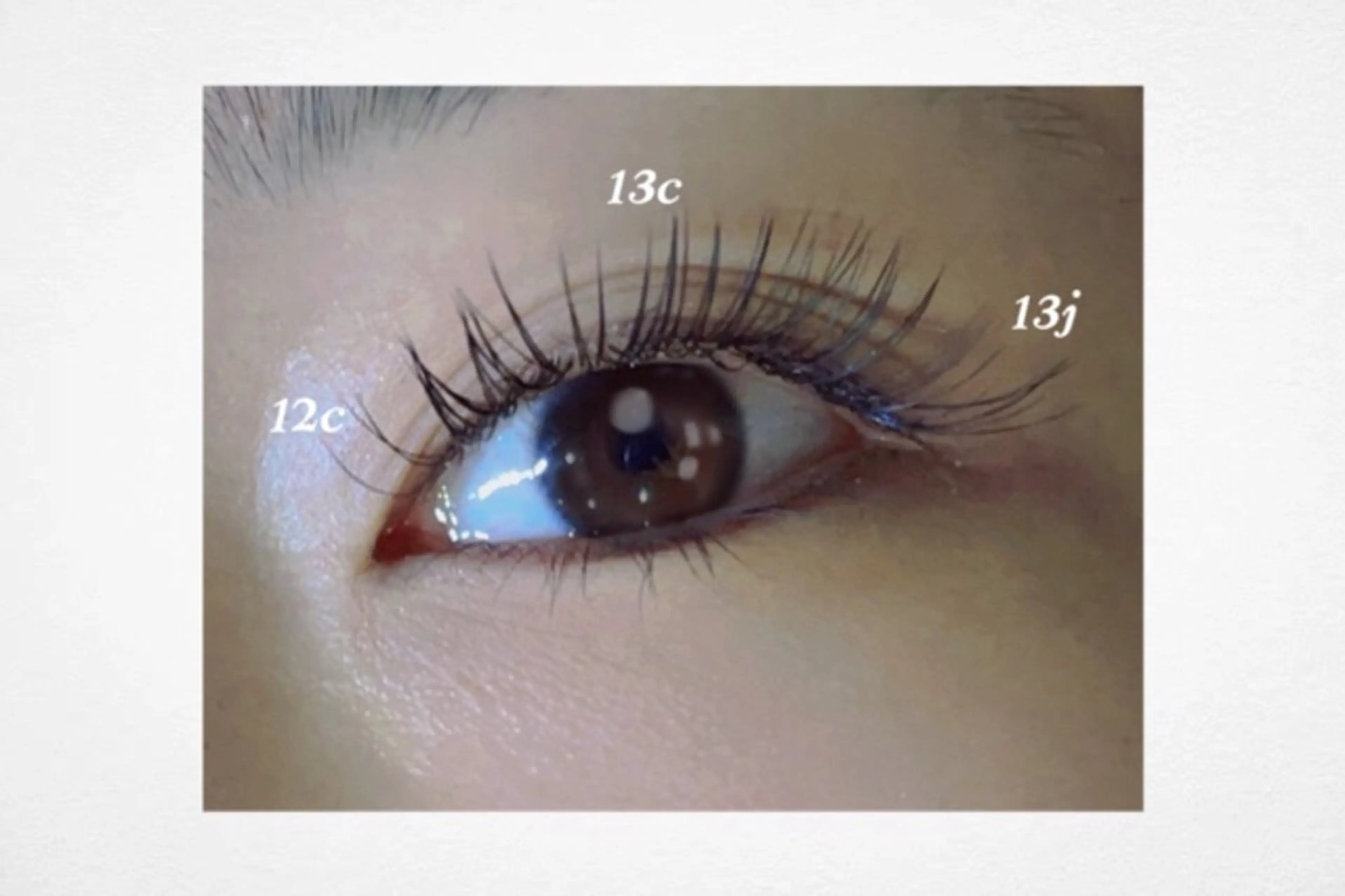 マツエク・マツパ ビューティサロンエクラ所属・ビューティーサロン エクラ【薬院•平尾】のマツエク・マツパデザイン