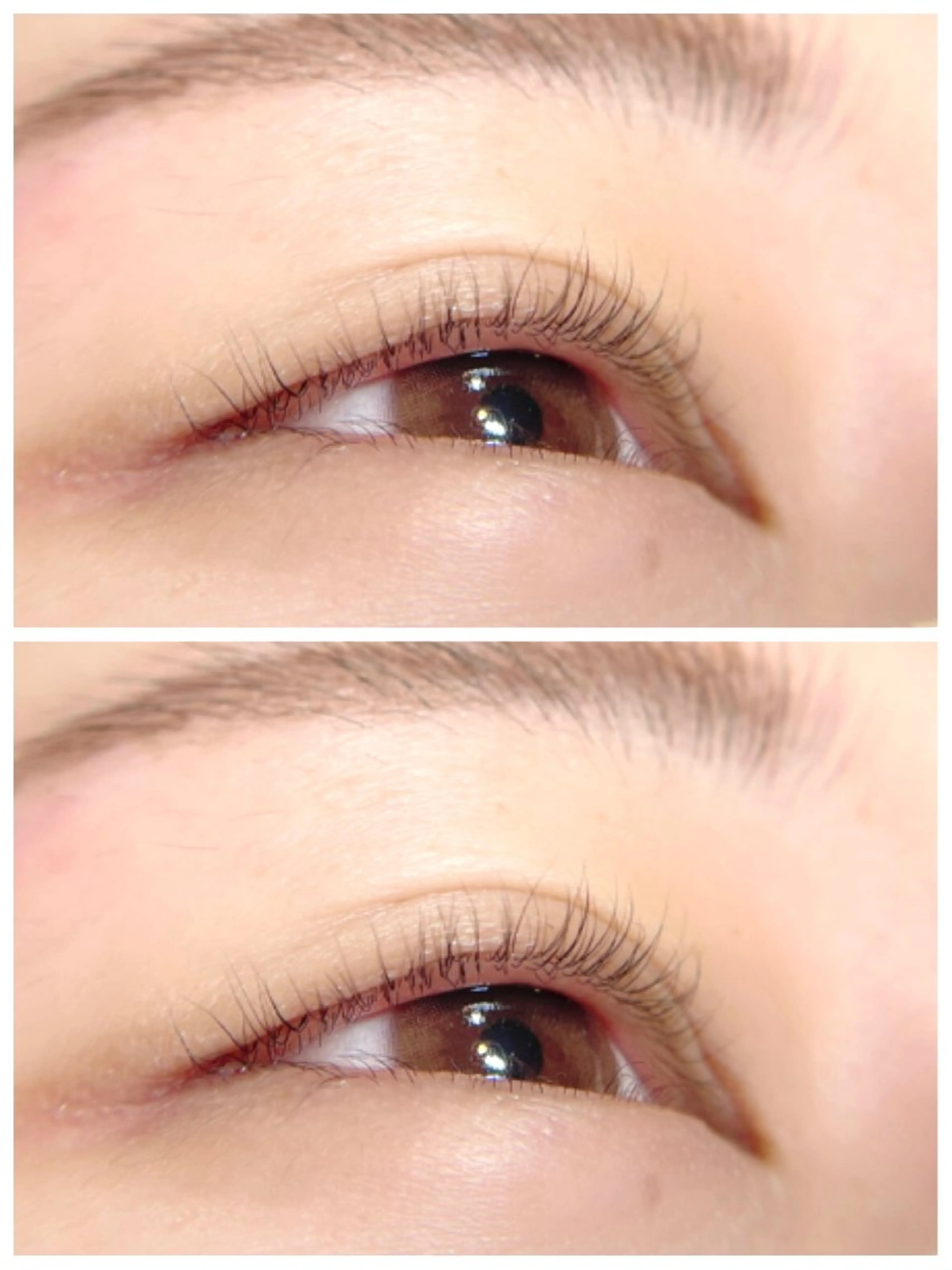 マツエク・マツパ PRIMO🐈🌱 マツパ/黒ティントのマツエク・マツパデザイン