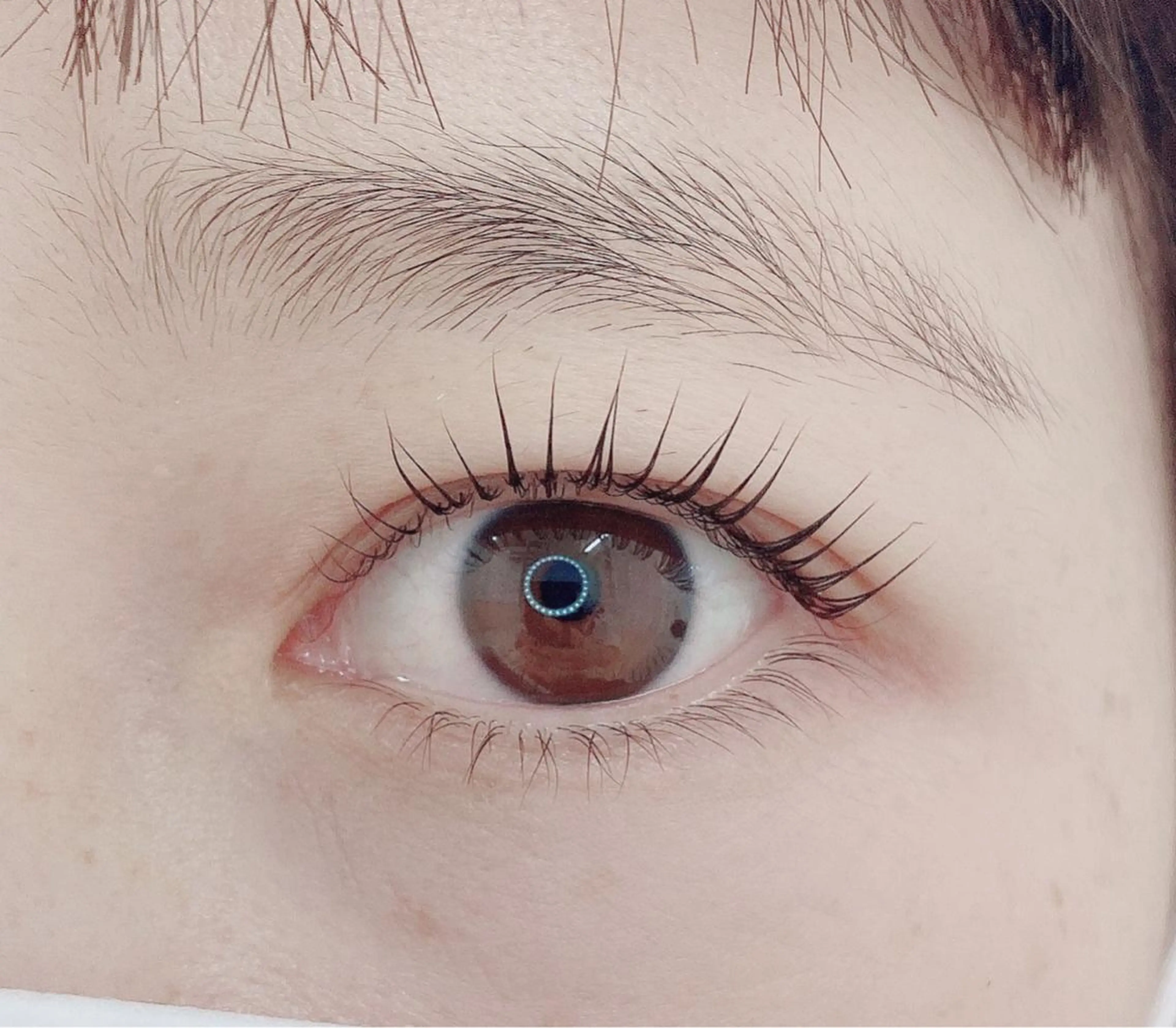 マツエク・マツパ TIARA池袋西口店 店長YASUKA💐のマツエク・マツパデザイン