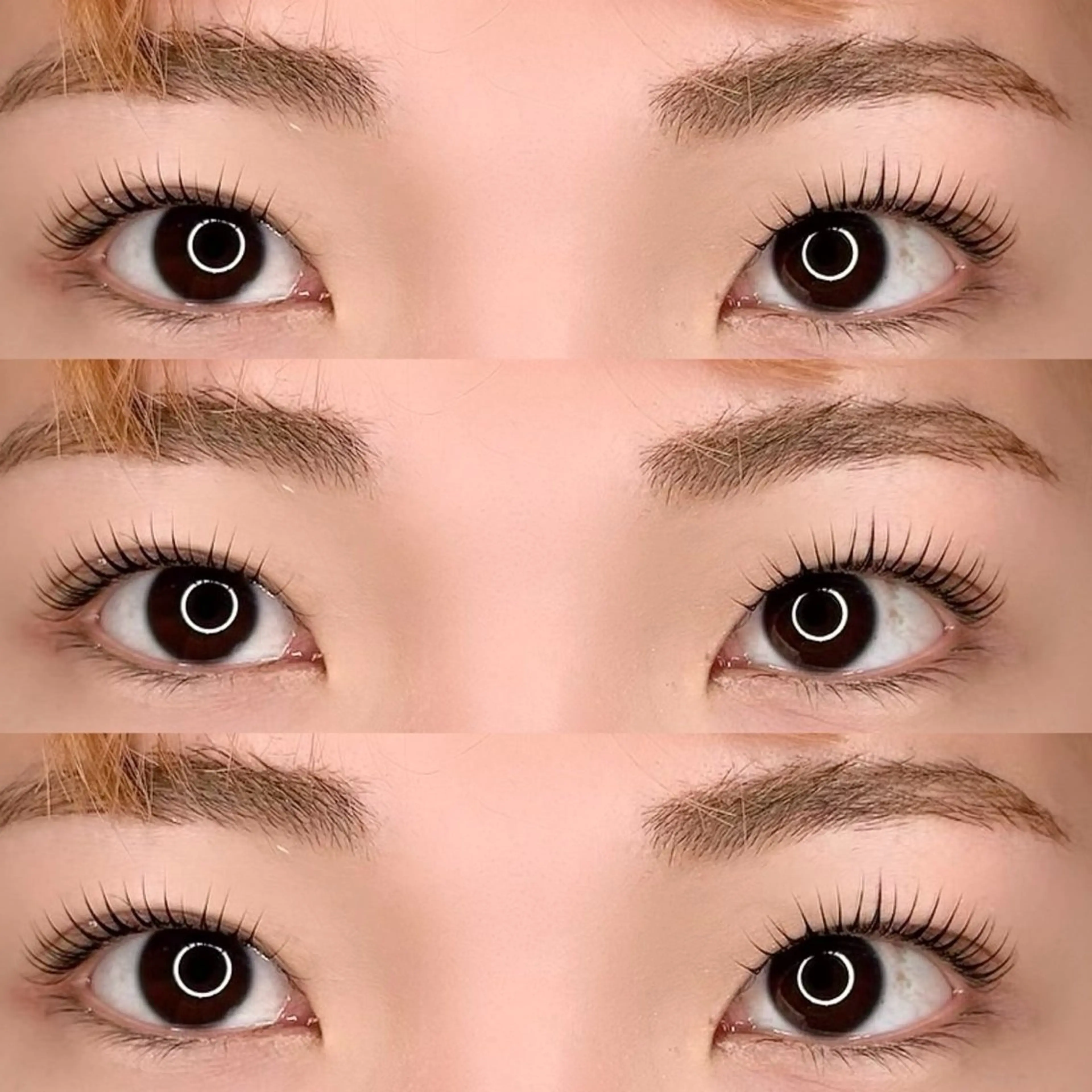 マツエク・マツパ 新小岩　Salon de SUMUU.所属・SUMUU.新小岩店 yuzuri 🦋のマツエク・マツパデザイン