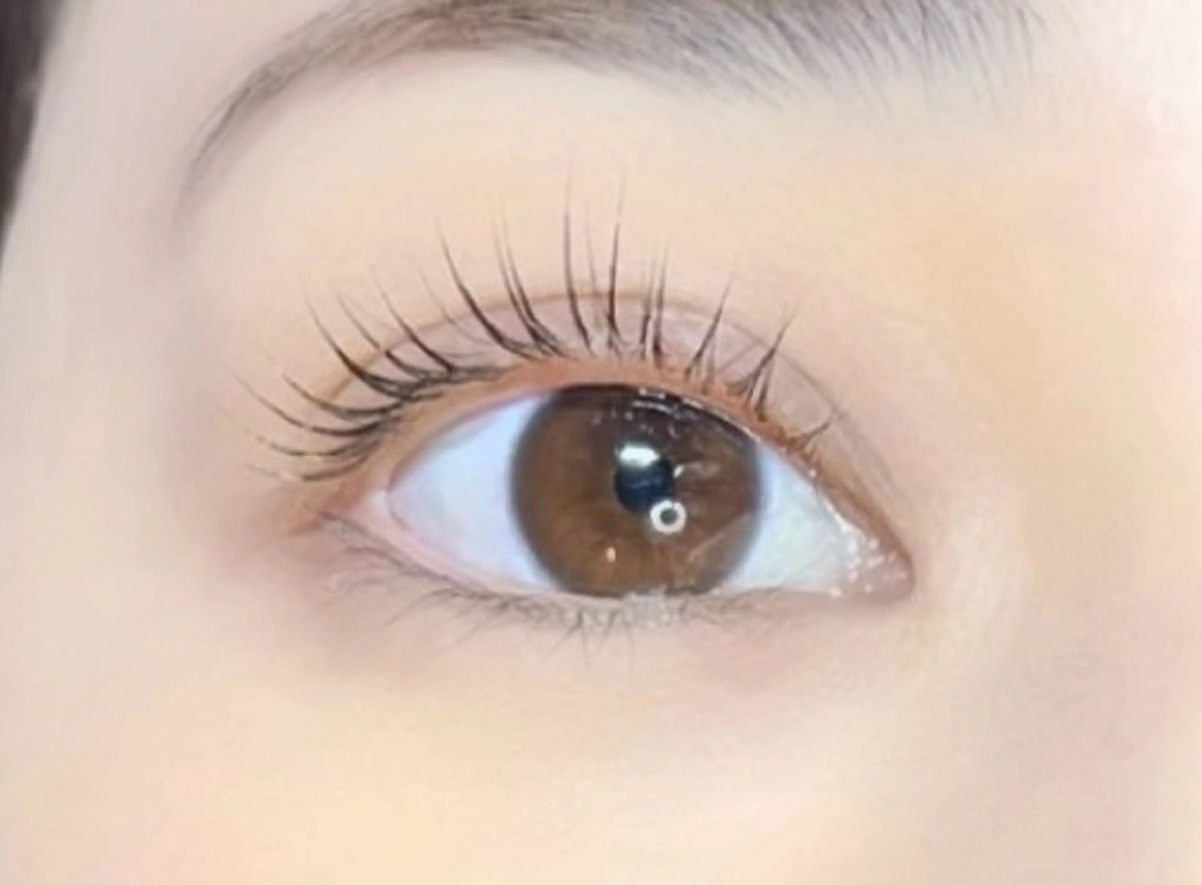 マツエク・マツパ Alii所属・Alii はるきの眉毛・アイブロウイメージ