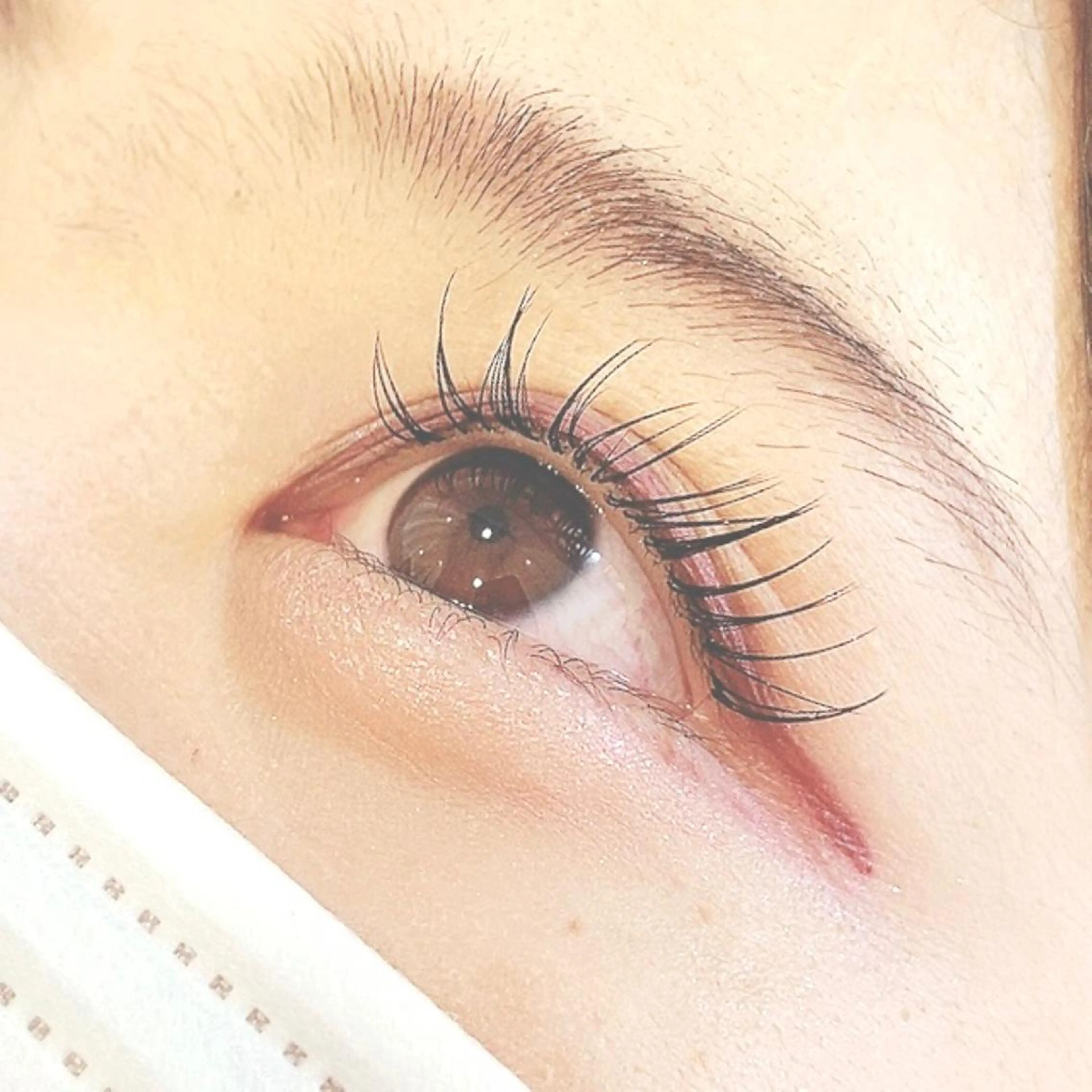 マツエク・マツパ Cカール セクシー ✧elpatio✧︎ 小出紗羅のマツエク・マツパデザイン