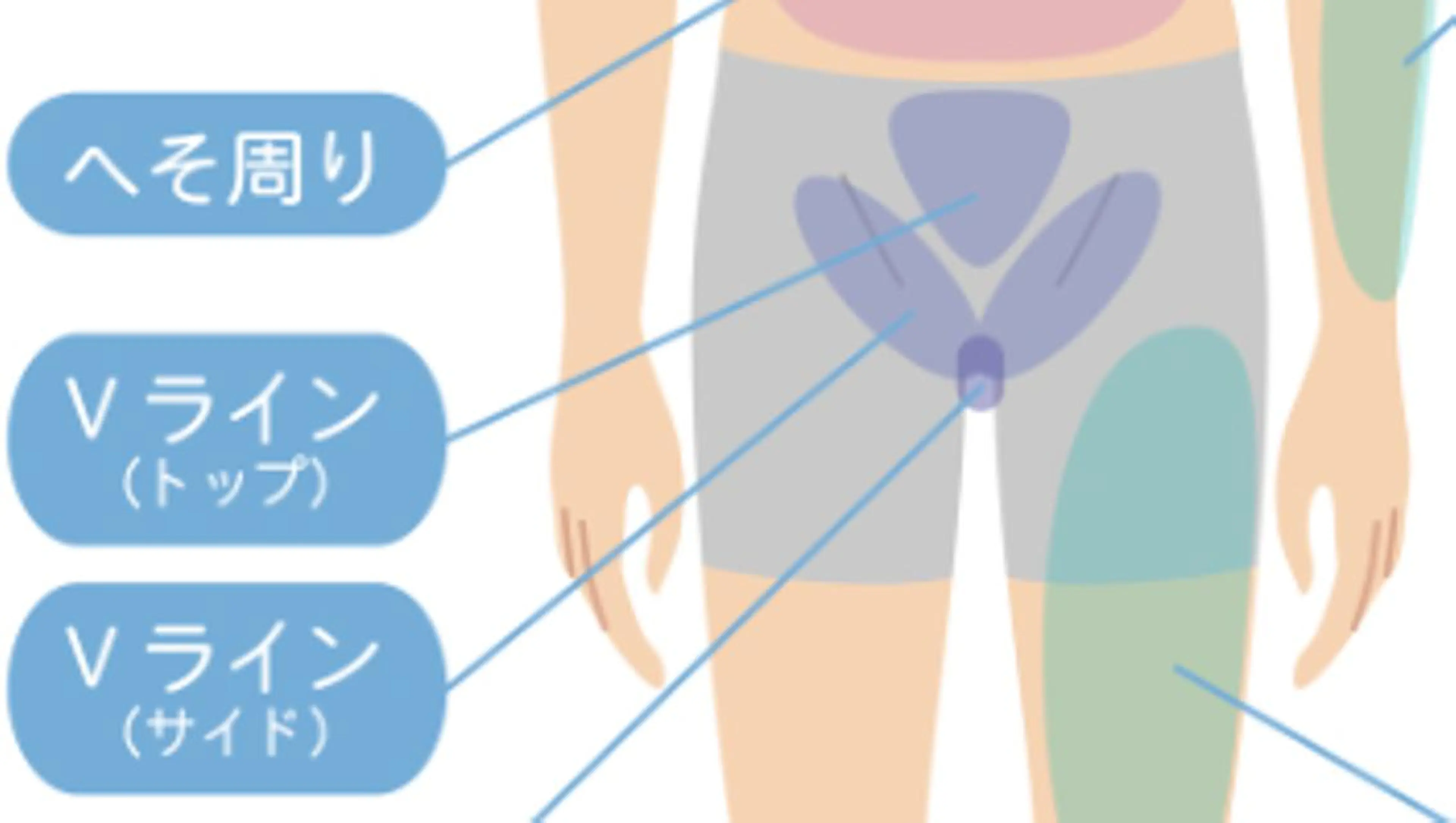 メンズ メンズ脱毛BOSS  岡崎店所属・メンズ脱毛BOSS 岡崎店のエステ・リラクイメージ