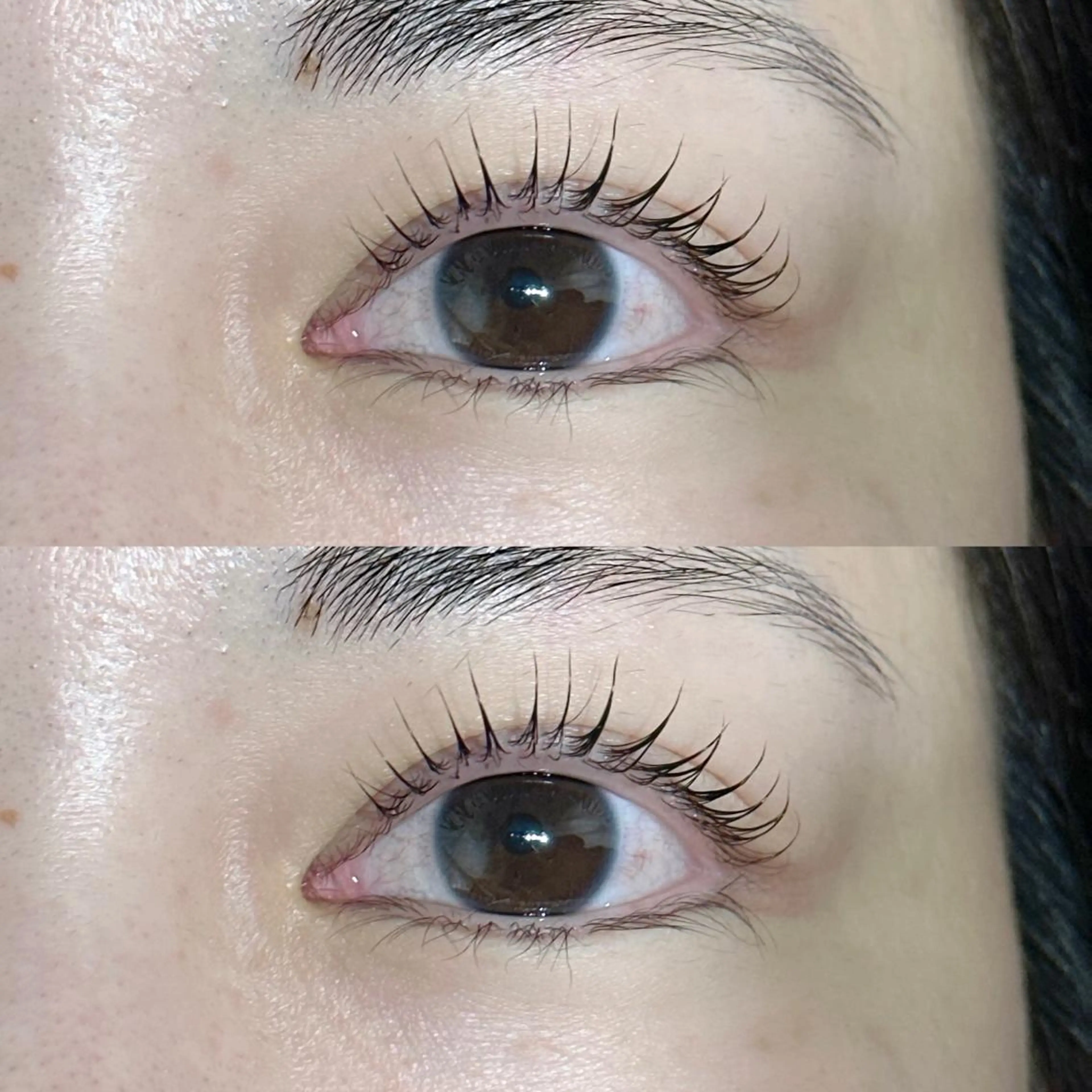 マツエク・マツパ カラーマツエク フラットラッシュ パリジェンヌラッシュリフト まつげパーマ セーブル Neo店長🌿 KOTONO🌿のマツエク・マツパデザイン