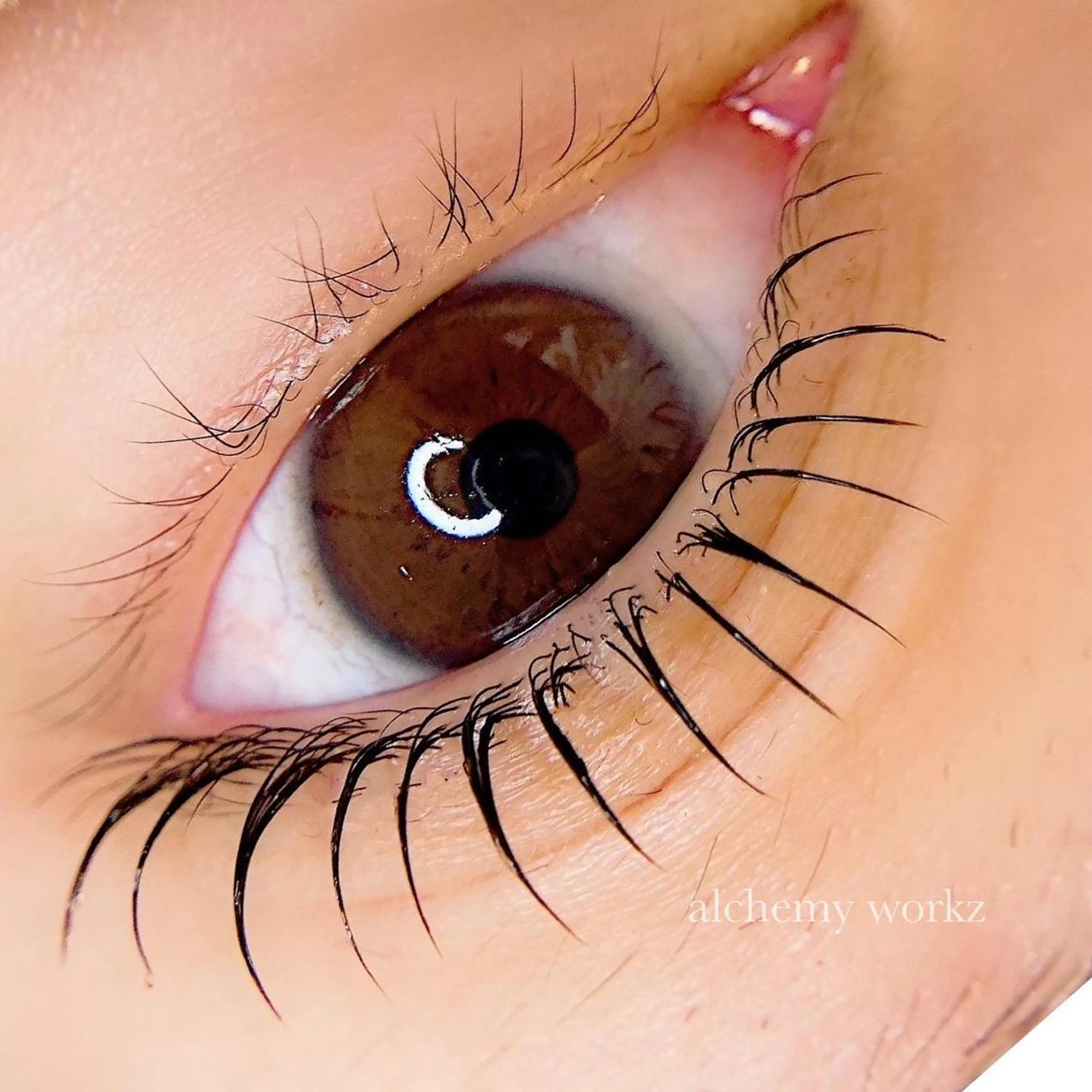 マツエク・マツパ マツパ alchemy workzの眉毛・アイブロウイメージ