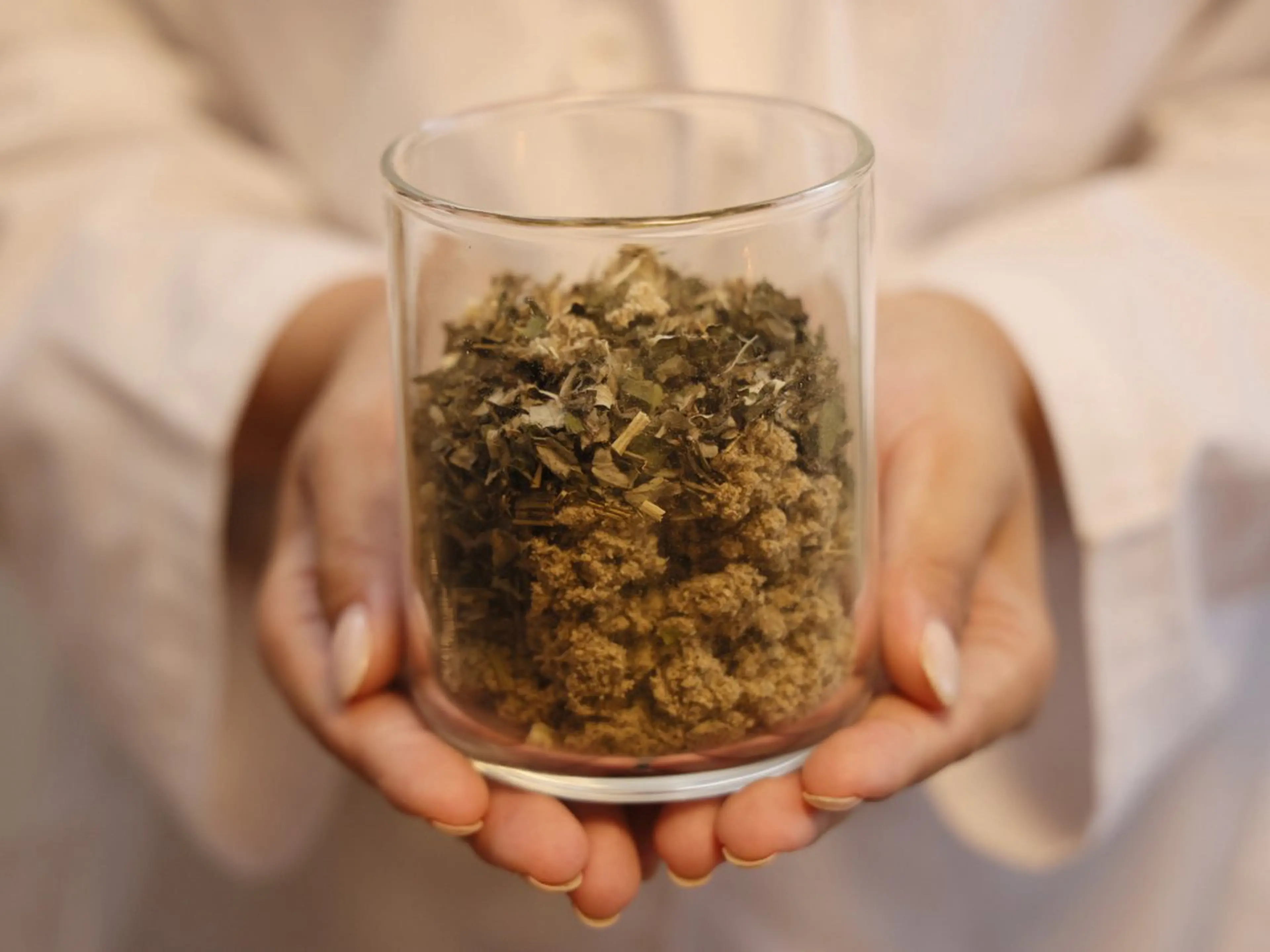 【36.5度以下】2種類のよもぎブレンドテントでゆったり蒸し＋お茶診断 60分の写真