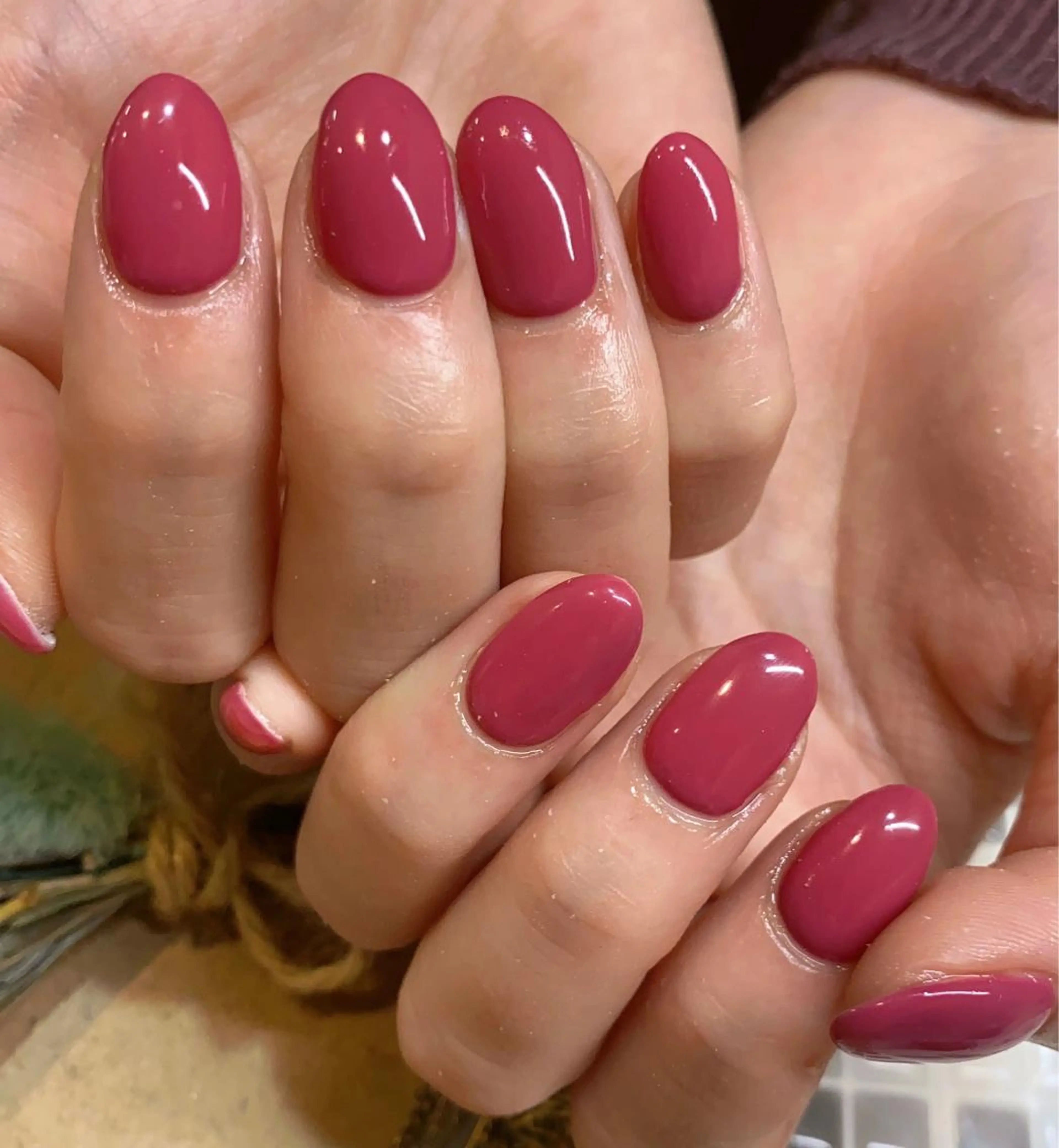 ネイル ワンカラーネイル ♡Nailist yui♡のネイルデザイン