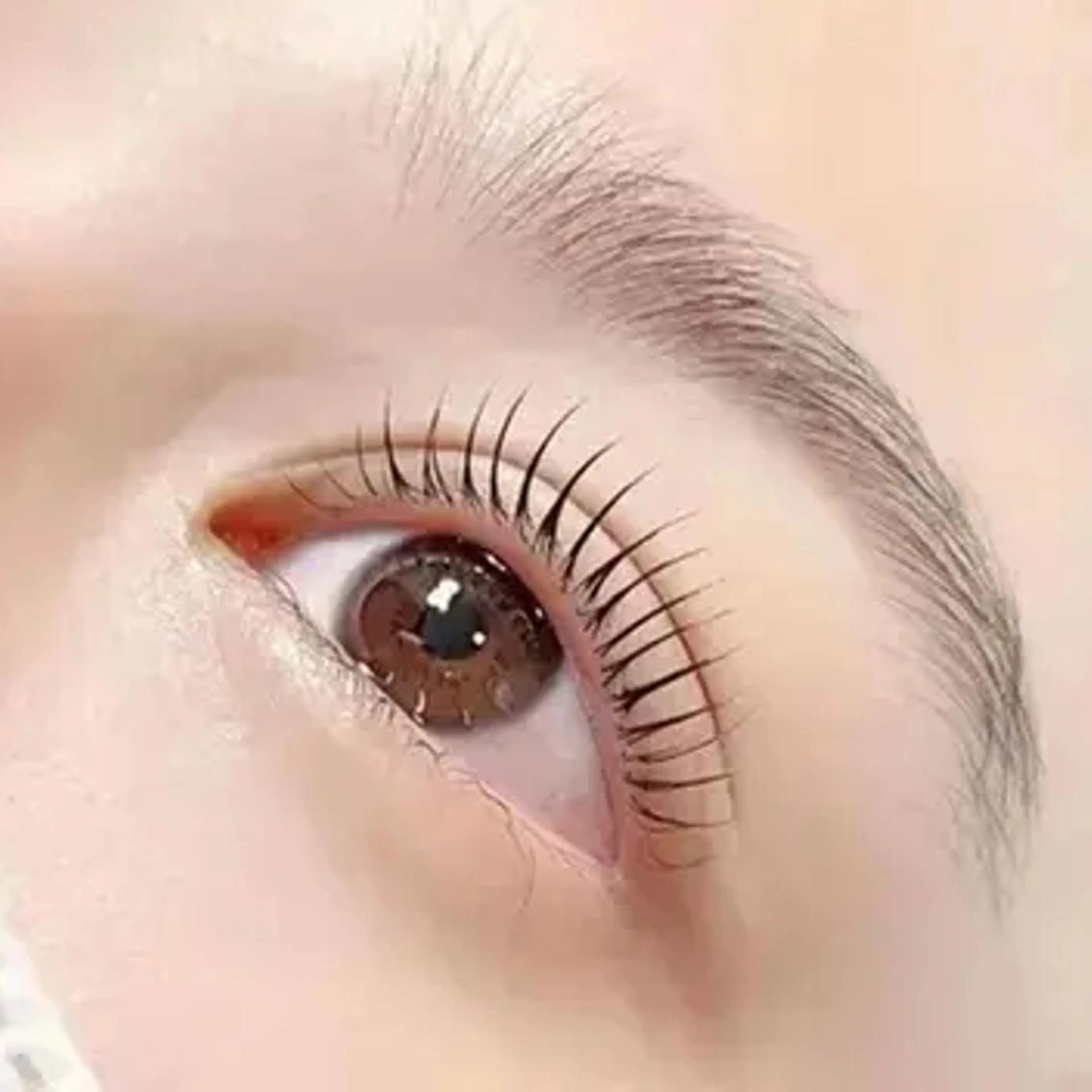 ご新規様限定🌼ラッシュリフト上🌼アイパック・美容液付⚠️施術時間45分前後　土日祝＋￥300　ロッド🔟種類以上の写真