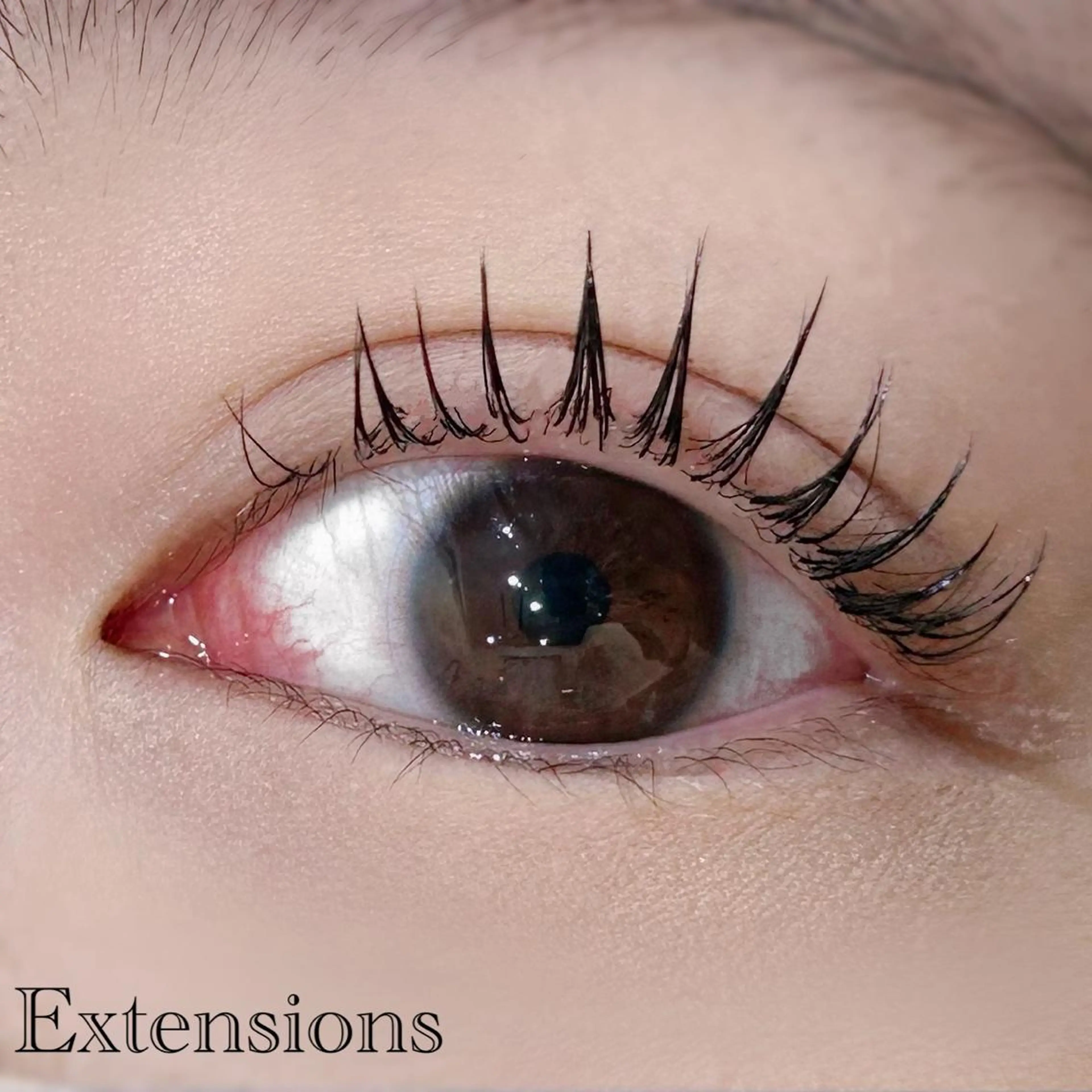 マツエク・マツパ キュート セーブル me. makiの眉毛・アイブロウイメージ