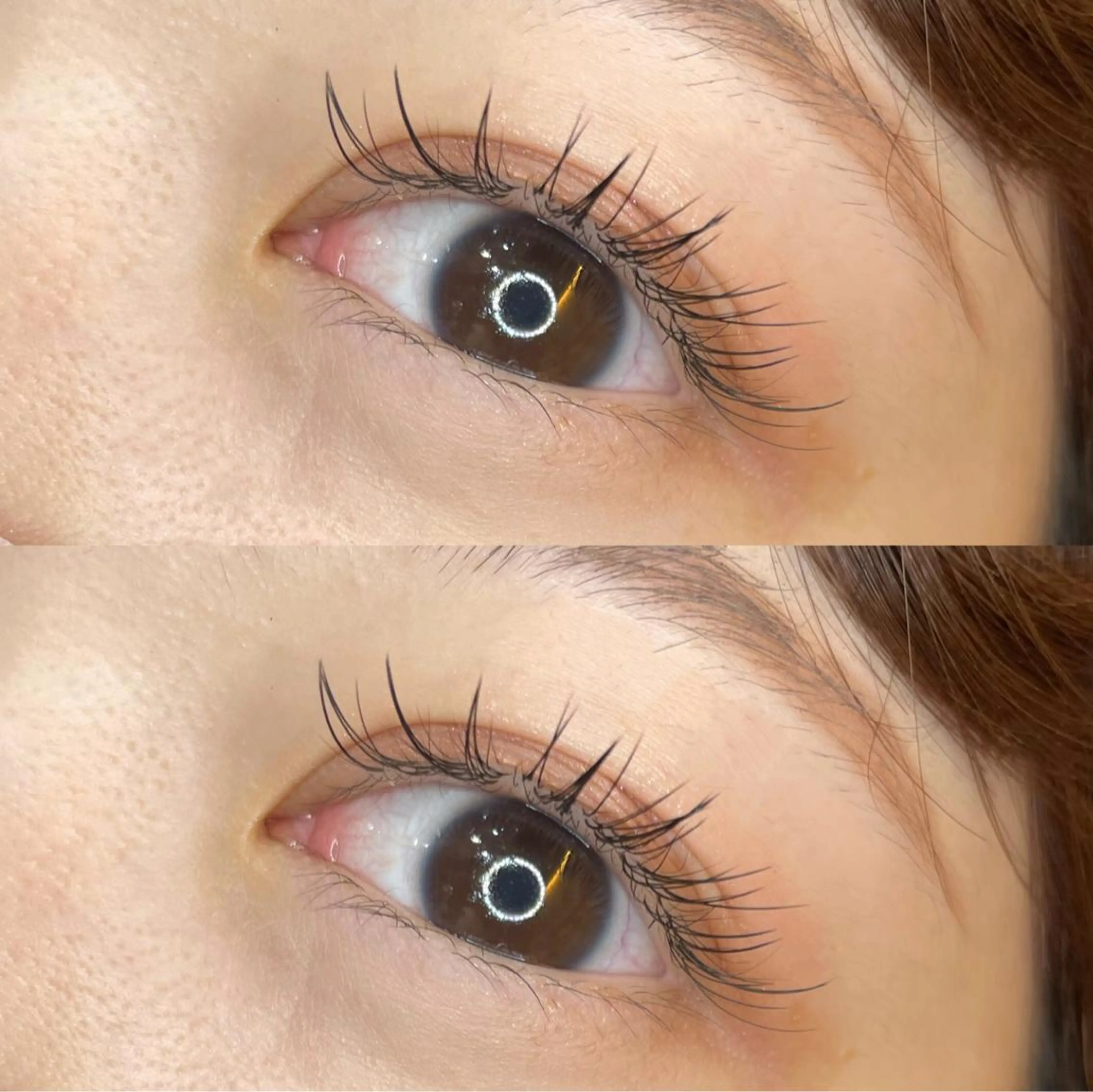 🩷ご新規様限定クーポン🩷フラットセーブル100本(初回オフ無料)の写真