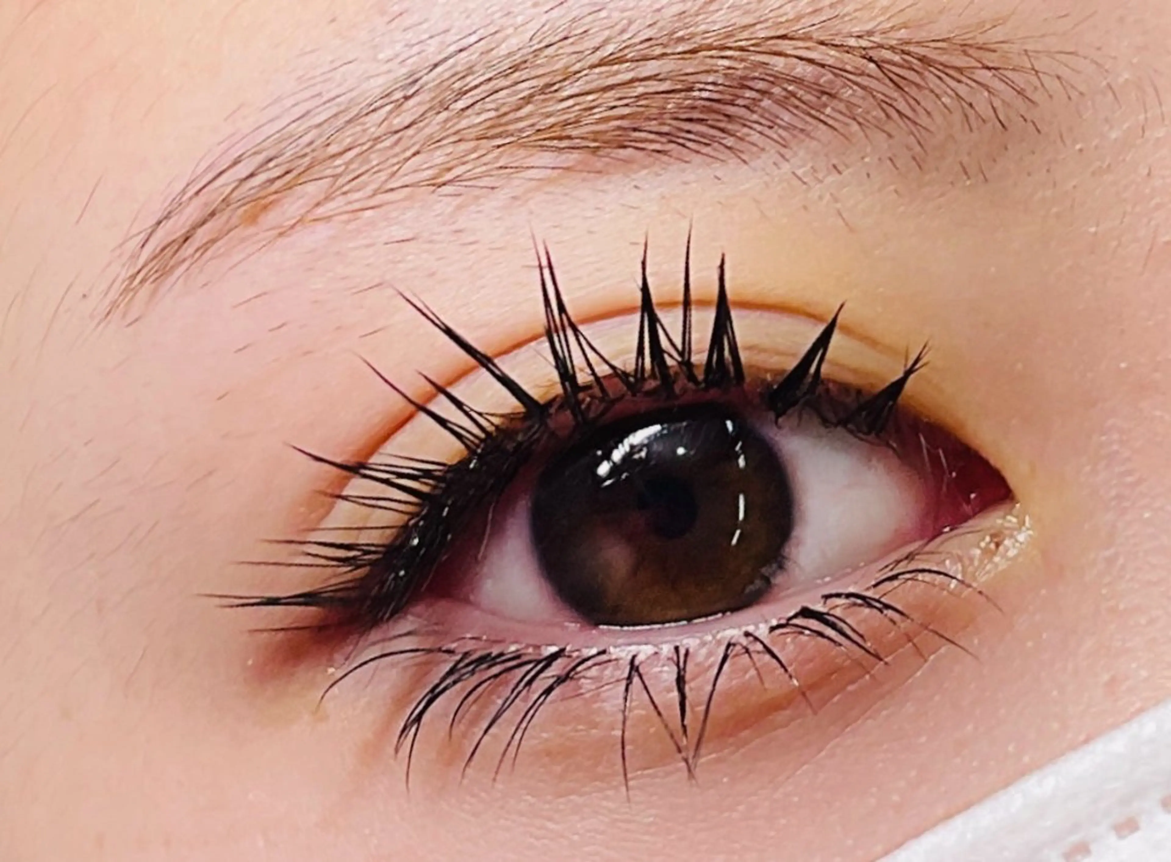 マツエク・マツパ Lカール マツエク *.川崎中島.* Álloのマツエク・マツパデザイン