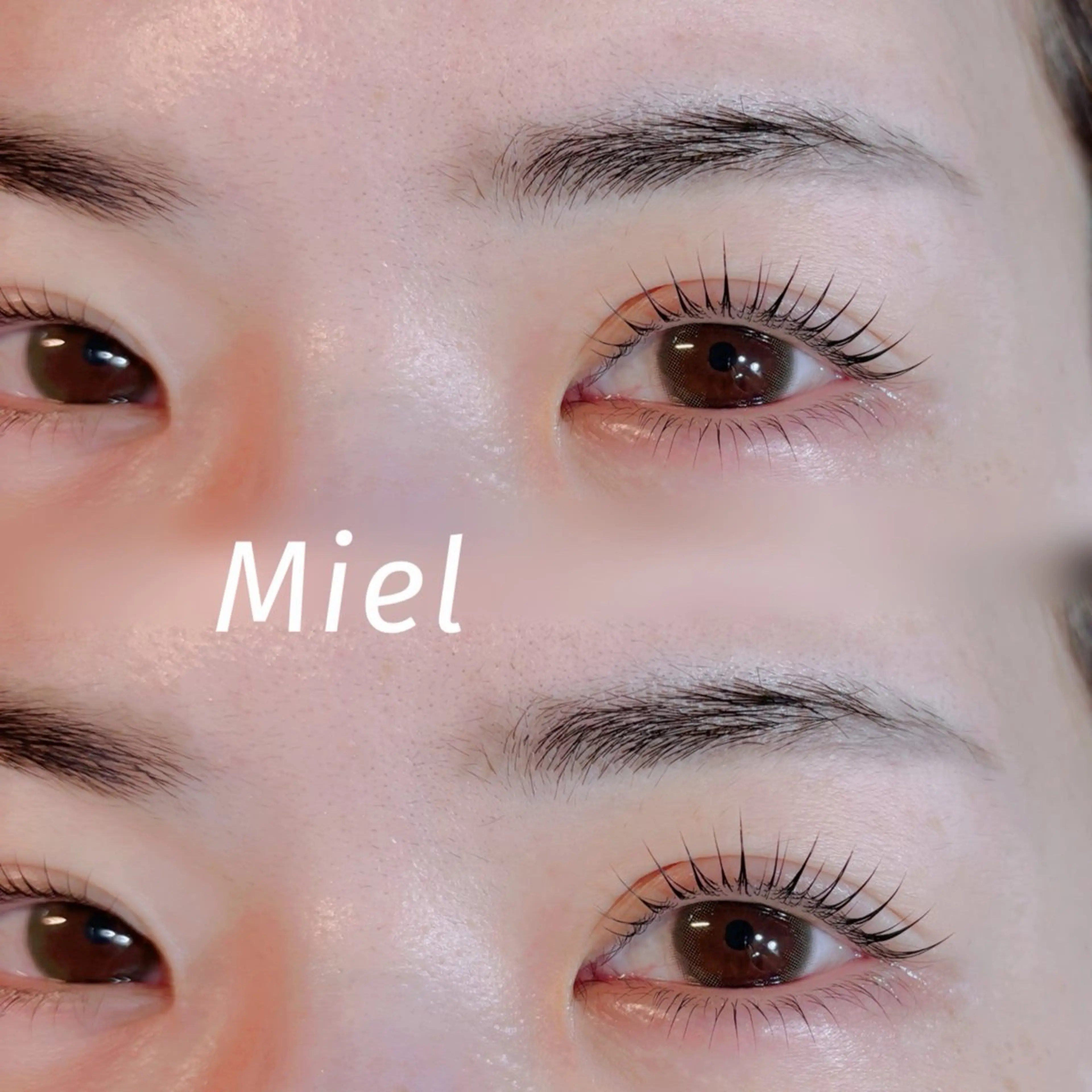 マツエク・マツパ まつげパーマ Mori ✨Mystical✨のマツエク・マツパデザイン