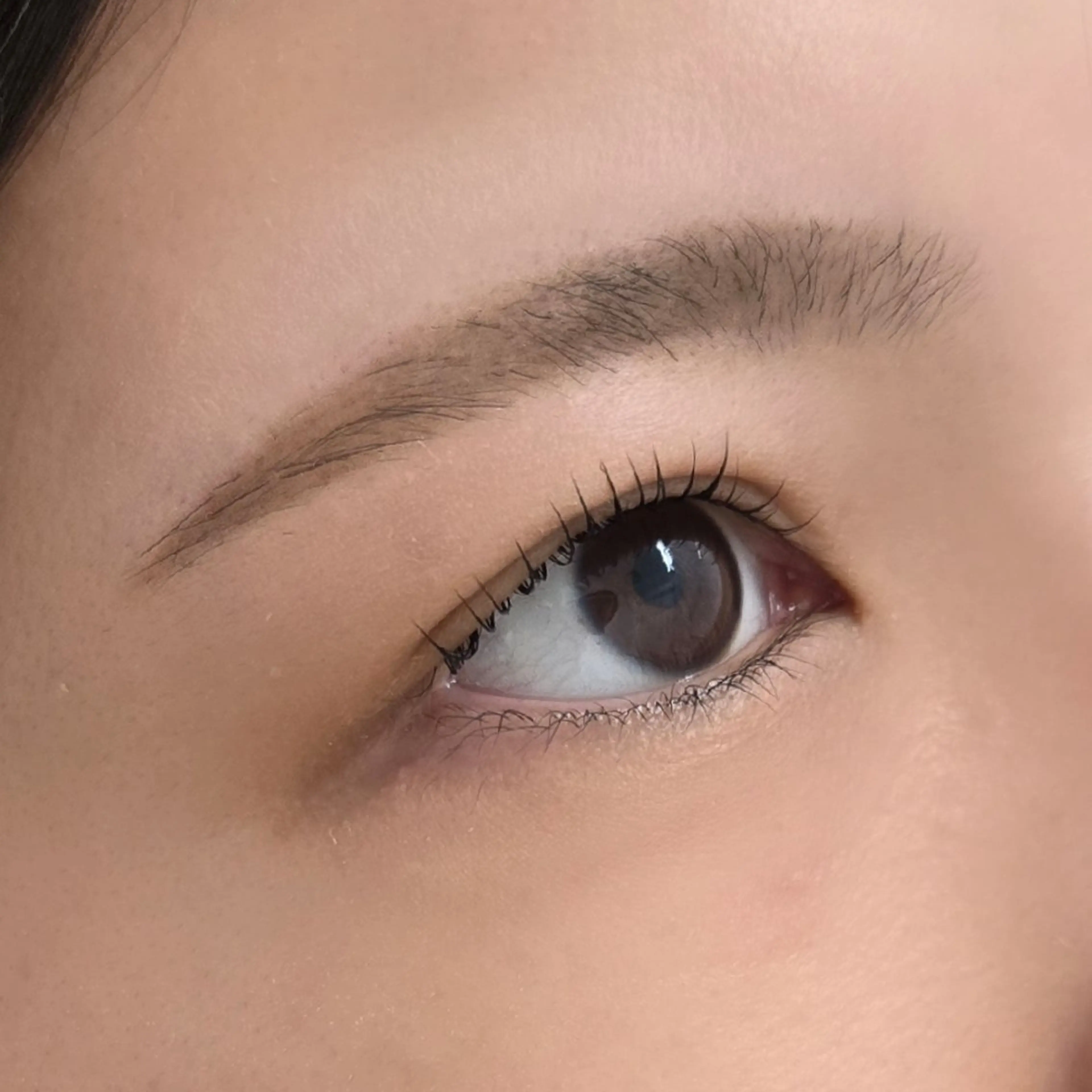 アイブロウ グランアイ𑁍 船橋北口店菊間の眉毛・アイブロウイメージ