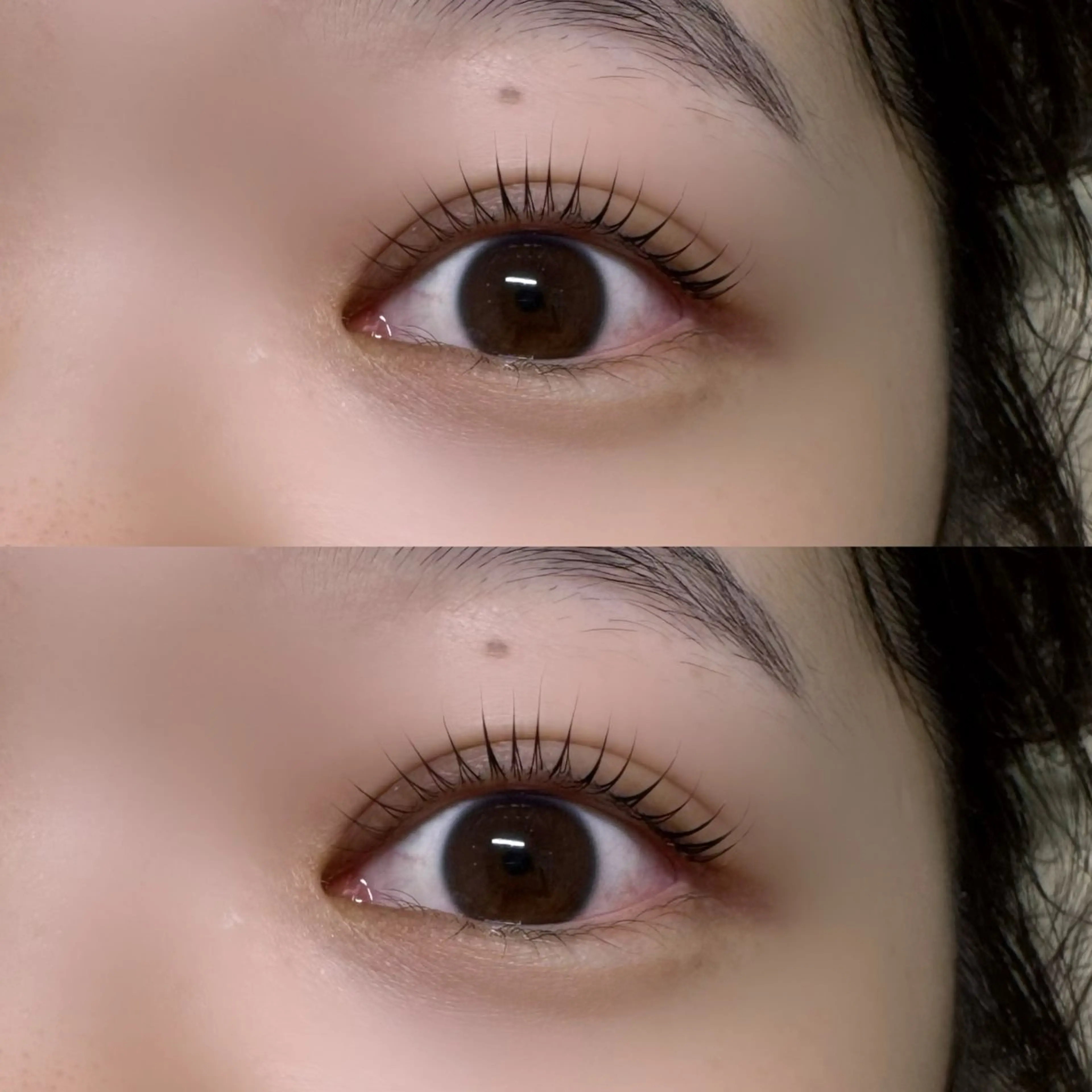 《 平日限定 》 🧡ྀི パリジェンヌラッシュリフト＋ケラチントリートメント 🧡ྀིの写真