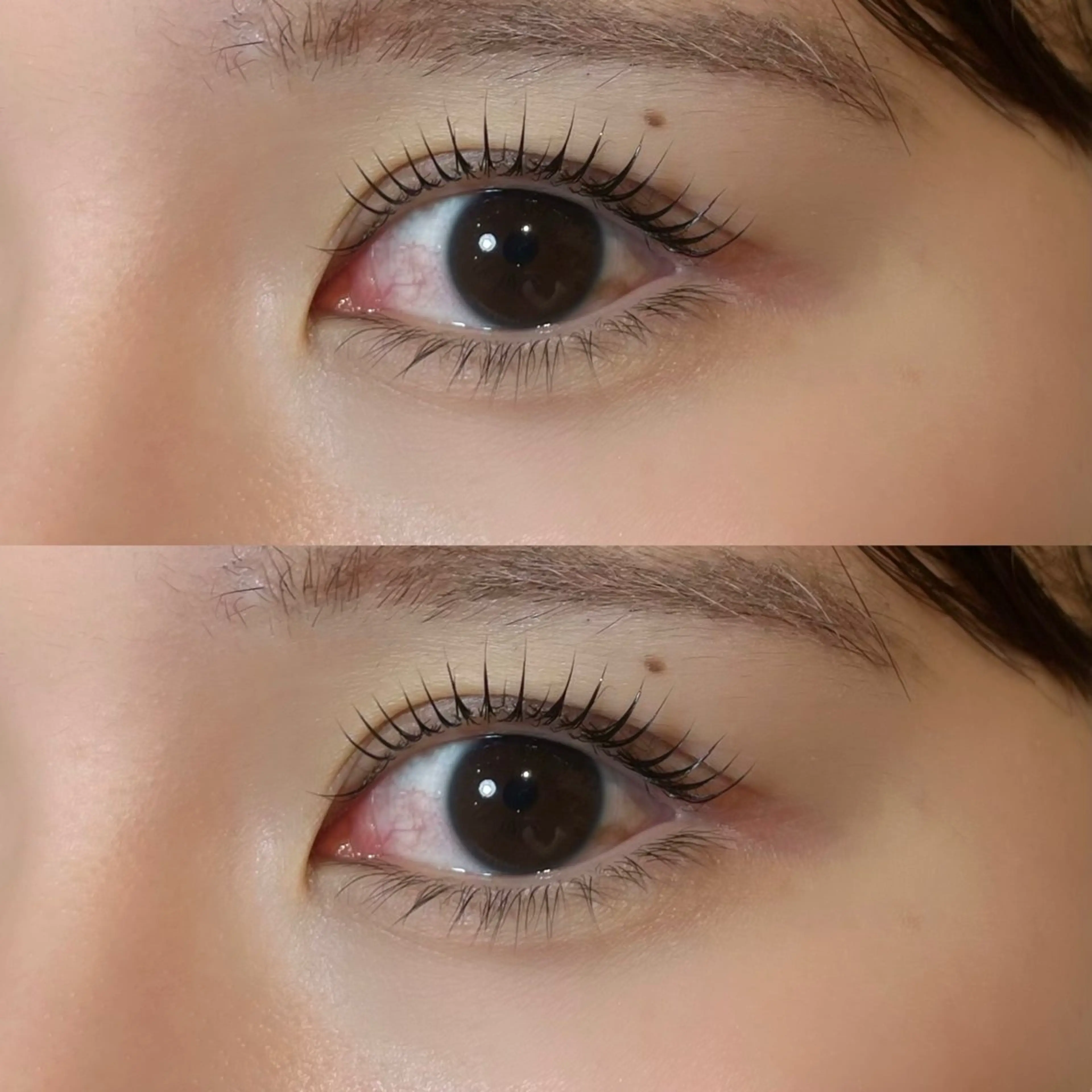 マツエク・マツパ 𝒆𝒊𝒈𝒉𝒕 杏花のマツエク・マツパデザイン