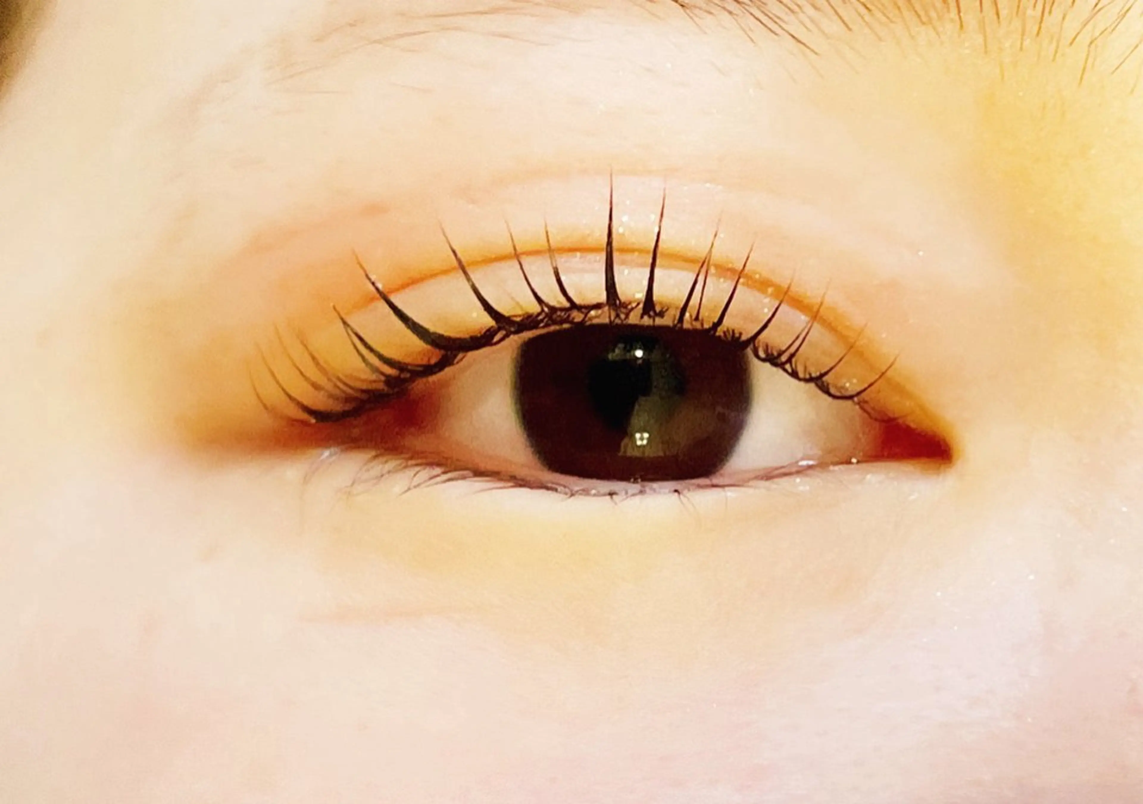 [6週間以内ご来店]パリジェンヌラッシュリフト&トリートメント付きの写真