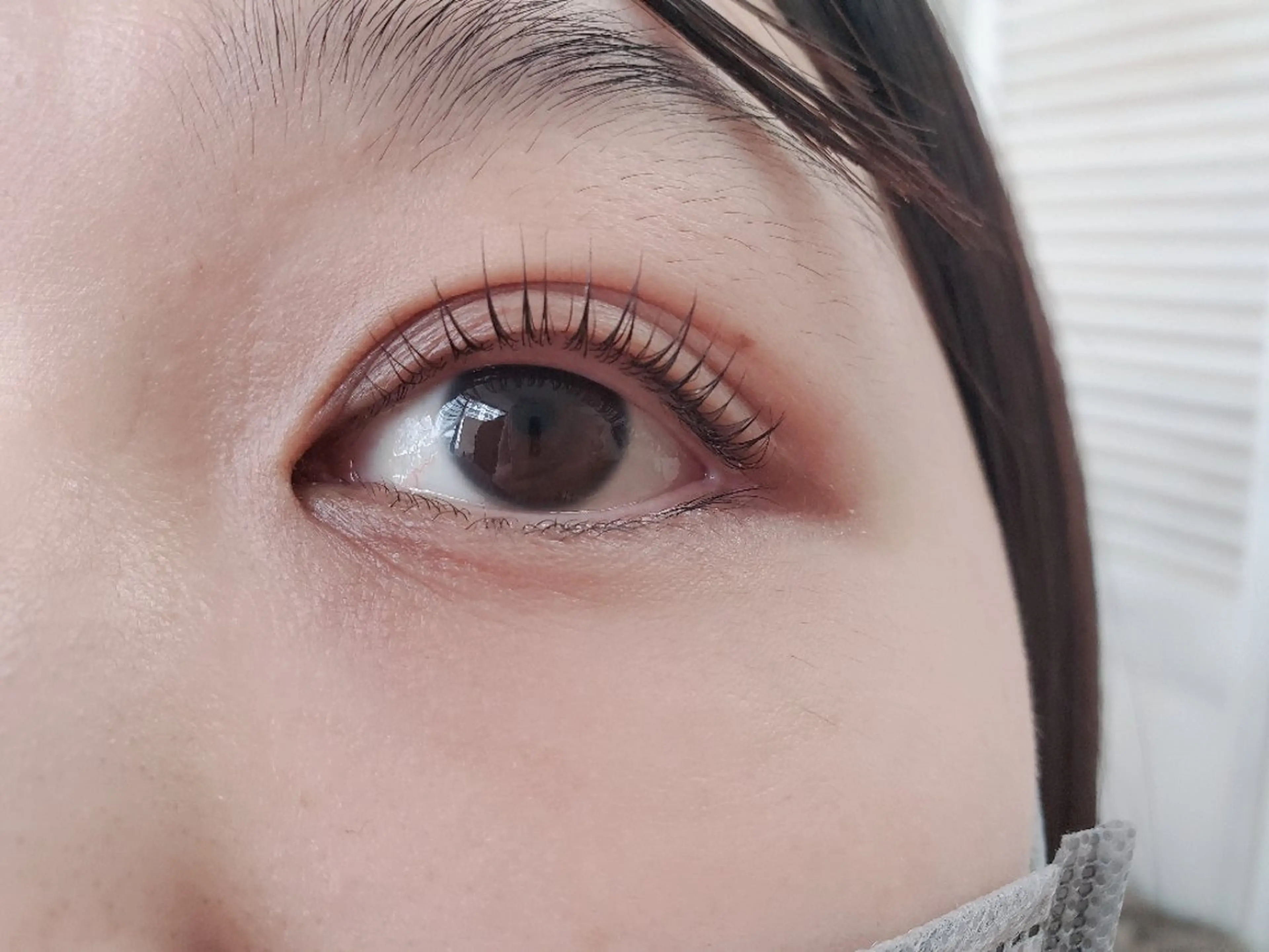 【再来】ラッシュリフト 4000円 (コーティング付き)の写真