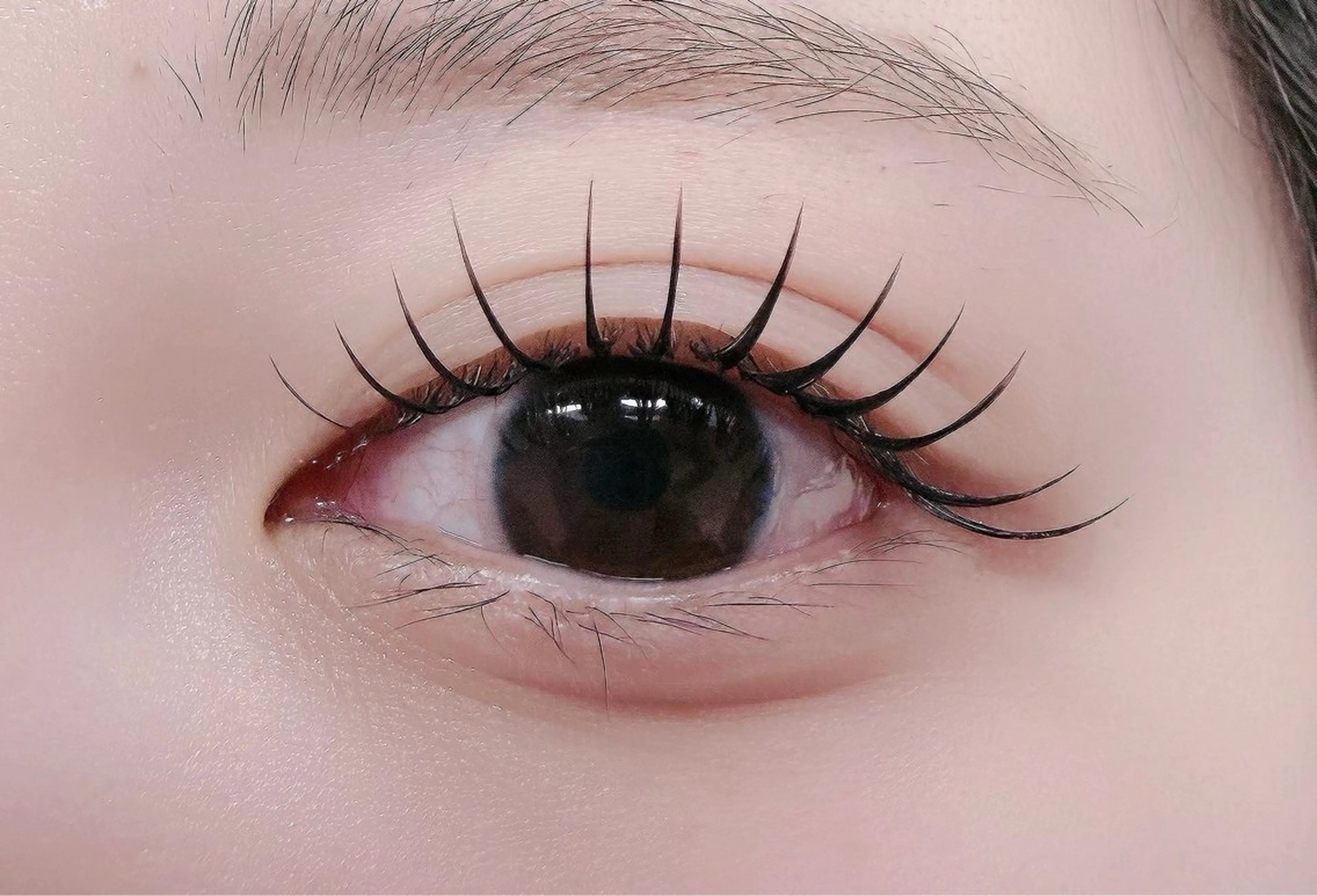 マツエク・マツパ フラットラッシュ マツエク ルチア所属・ルチア💞 luciaのマツエク・マツパデザイン