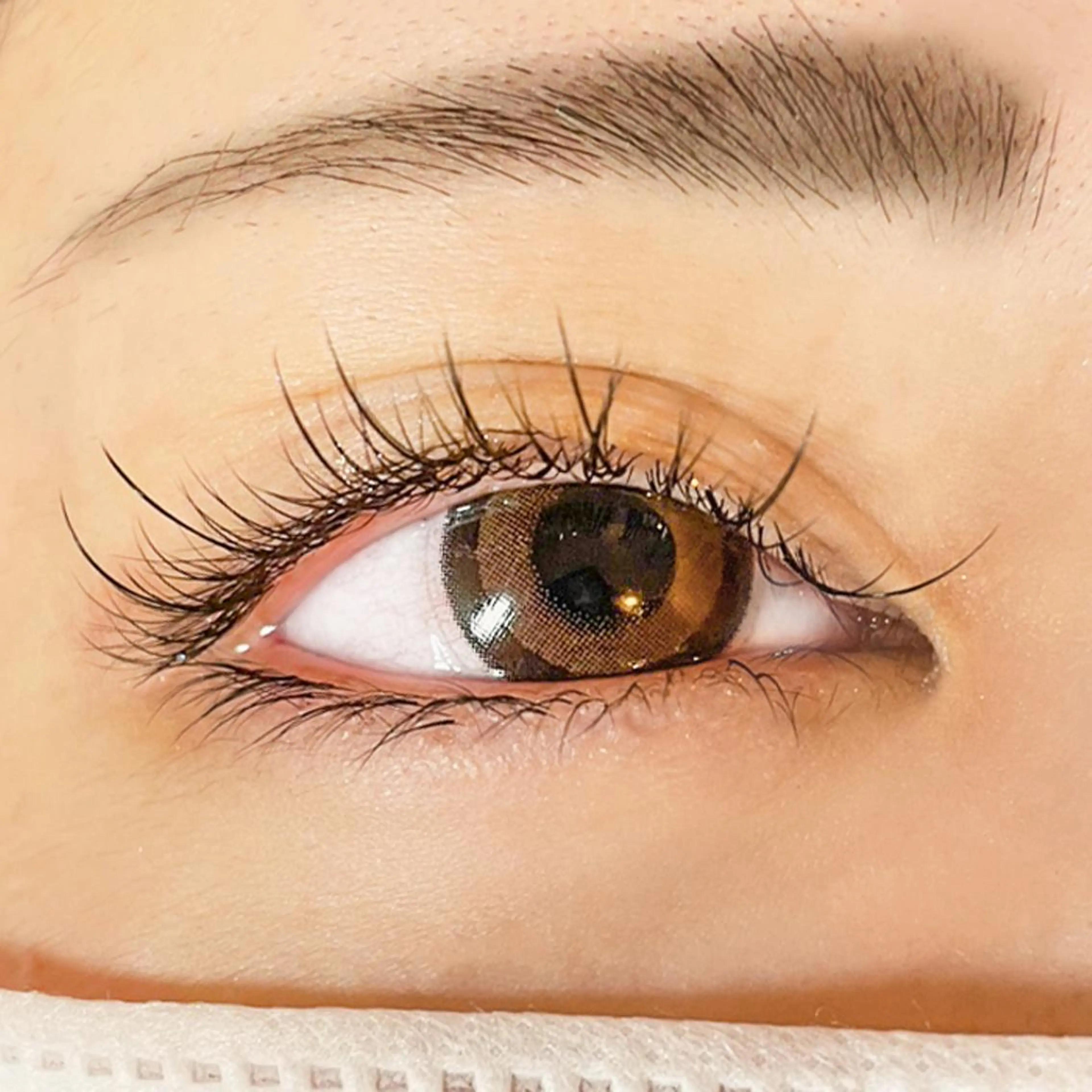 マツエク・マツパ ワンホンマツエク Mayumi. Uのマツエク・マツパデザイン