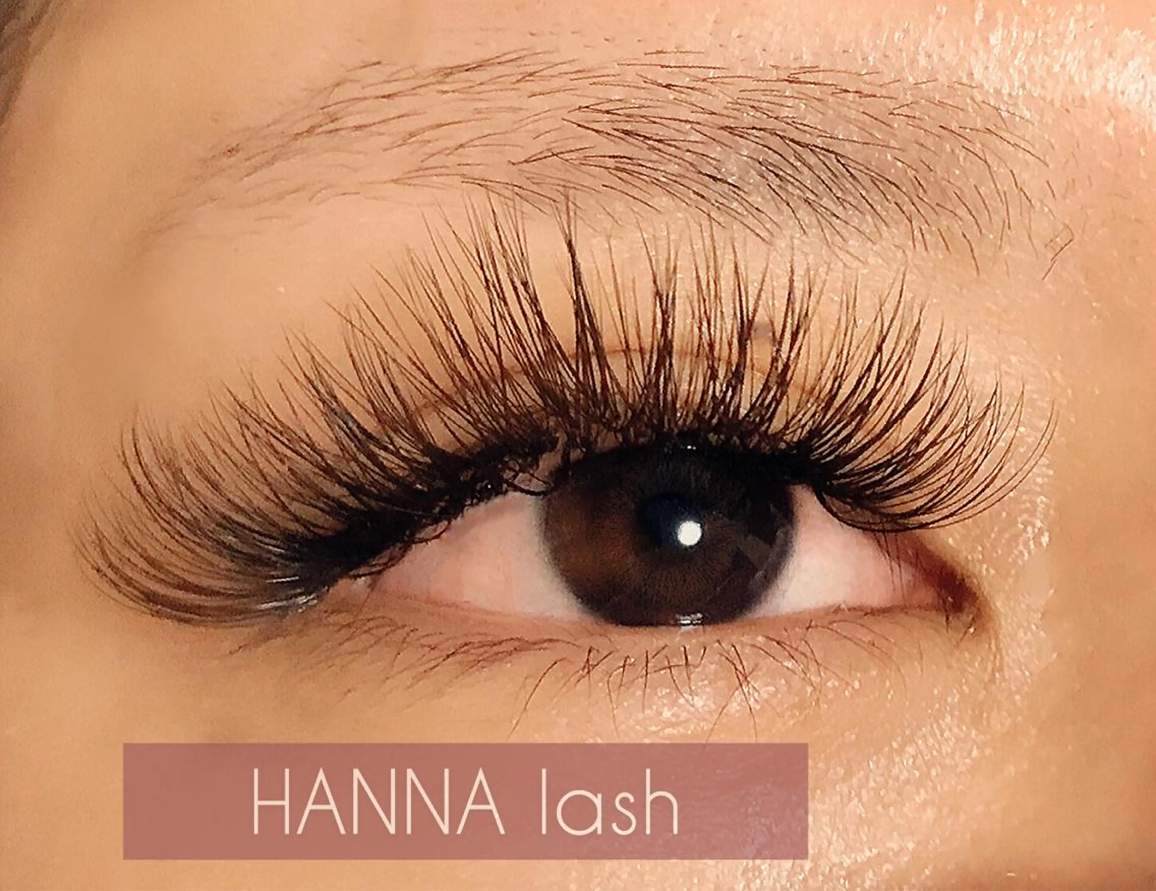 【ボリュームラッシュ付け放題】太さ0.07㎜💗カールJ C D🥰3D​〜​4D💗長さ8mm​〜​15mm💗の写真