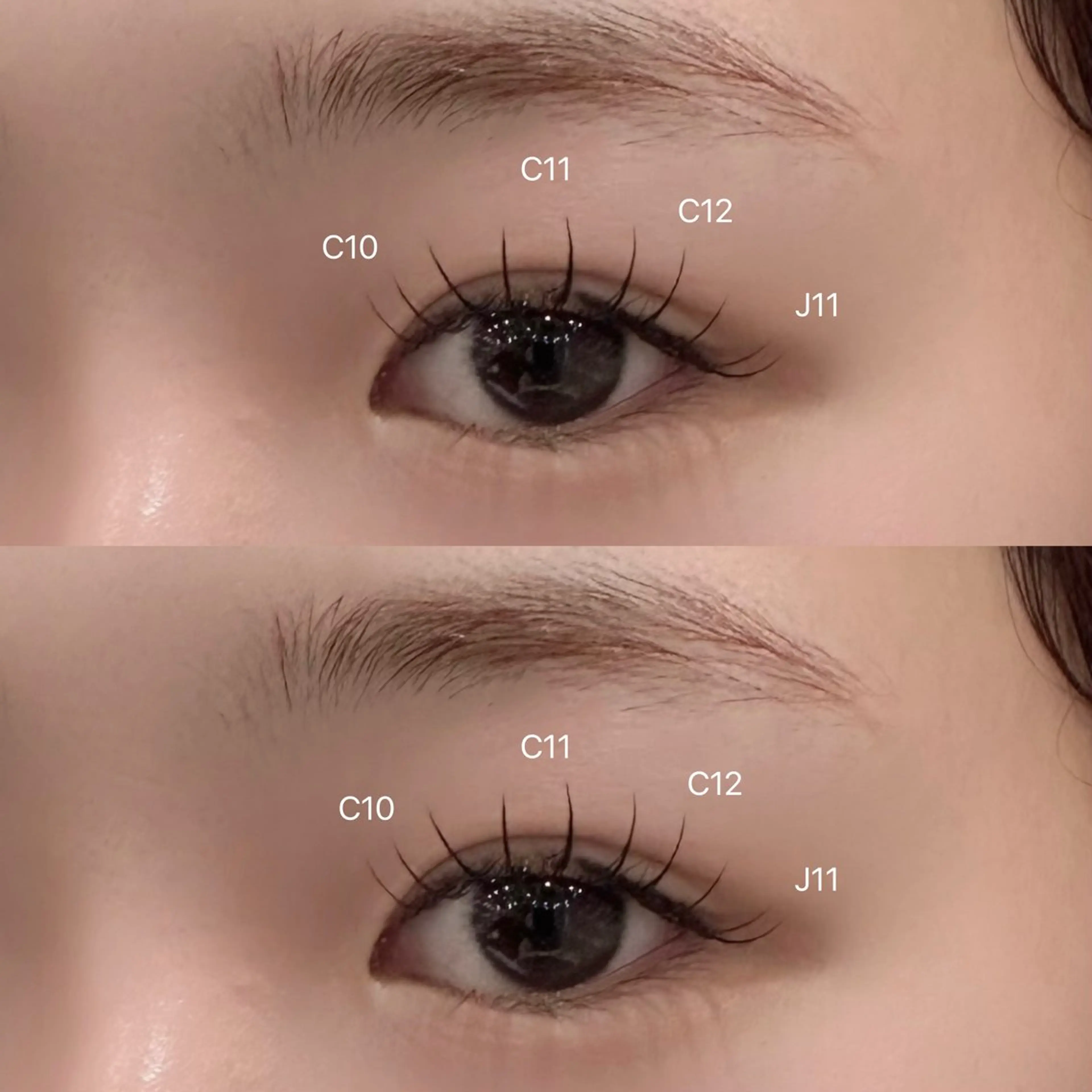 🦋LEDエクステ100本🦋の写真