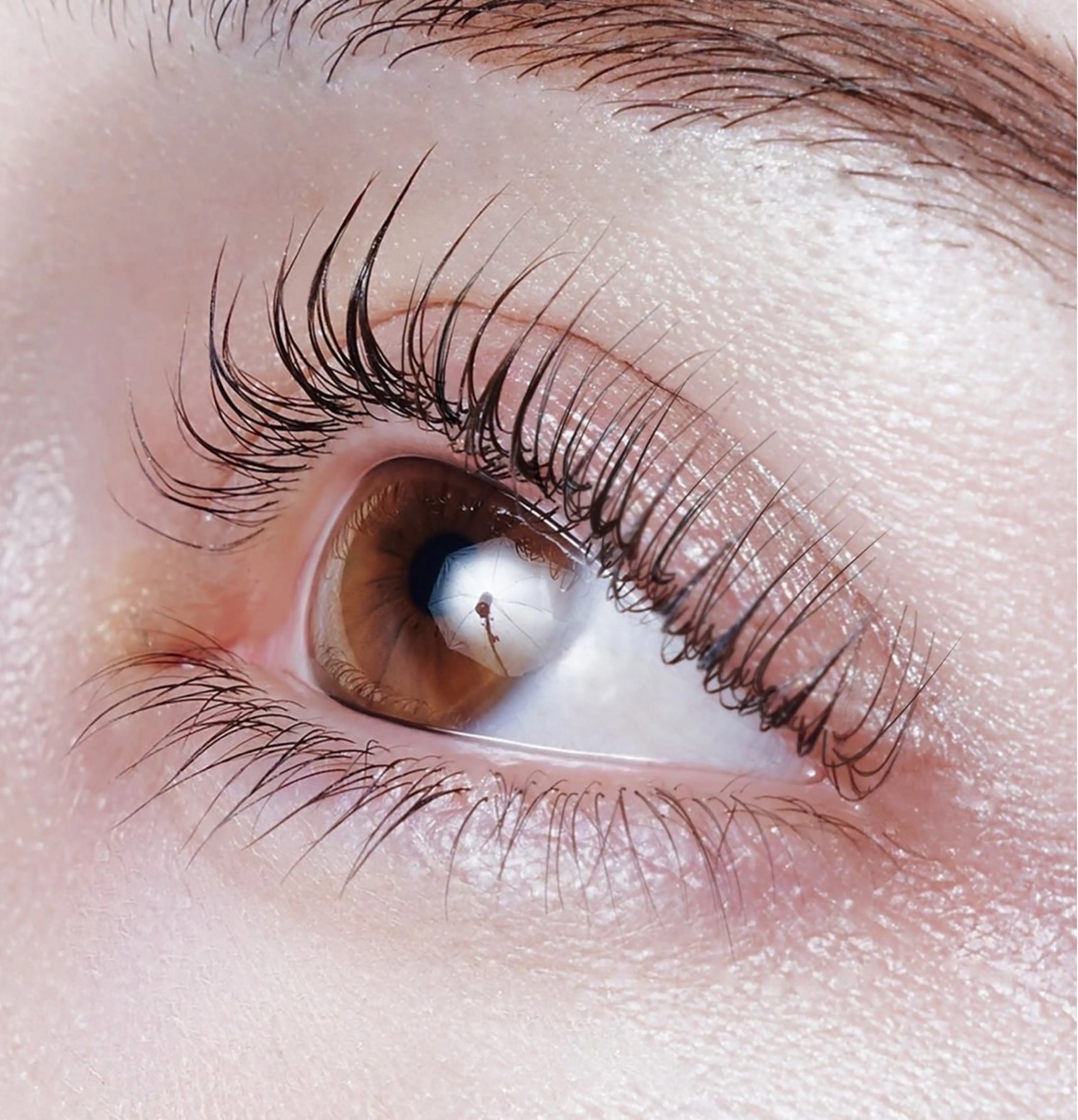 マツエク・マツパ Eyelash 🎀 𝐀𝐲𝐮𝐦𝐢のマツエク・マツパデザイン