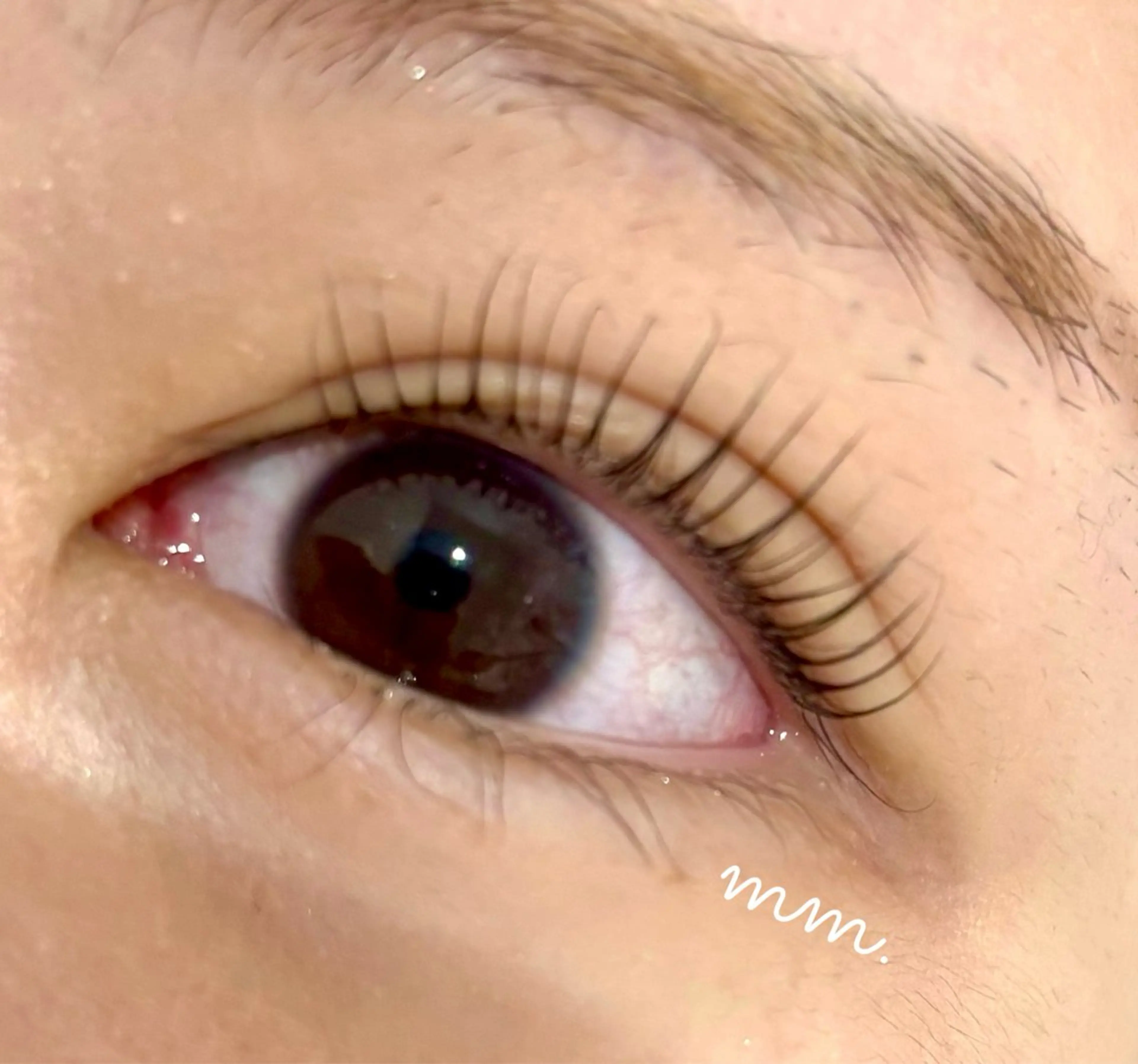 まつ毛パーマ👀当日限定価格✨の写真