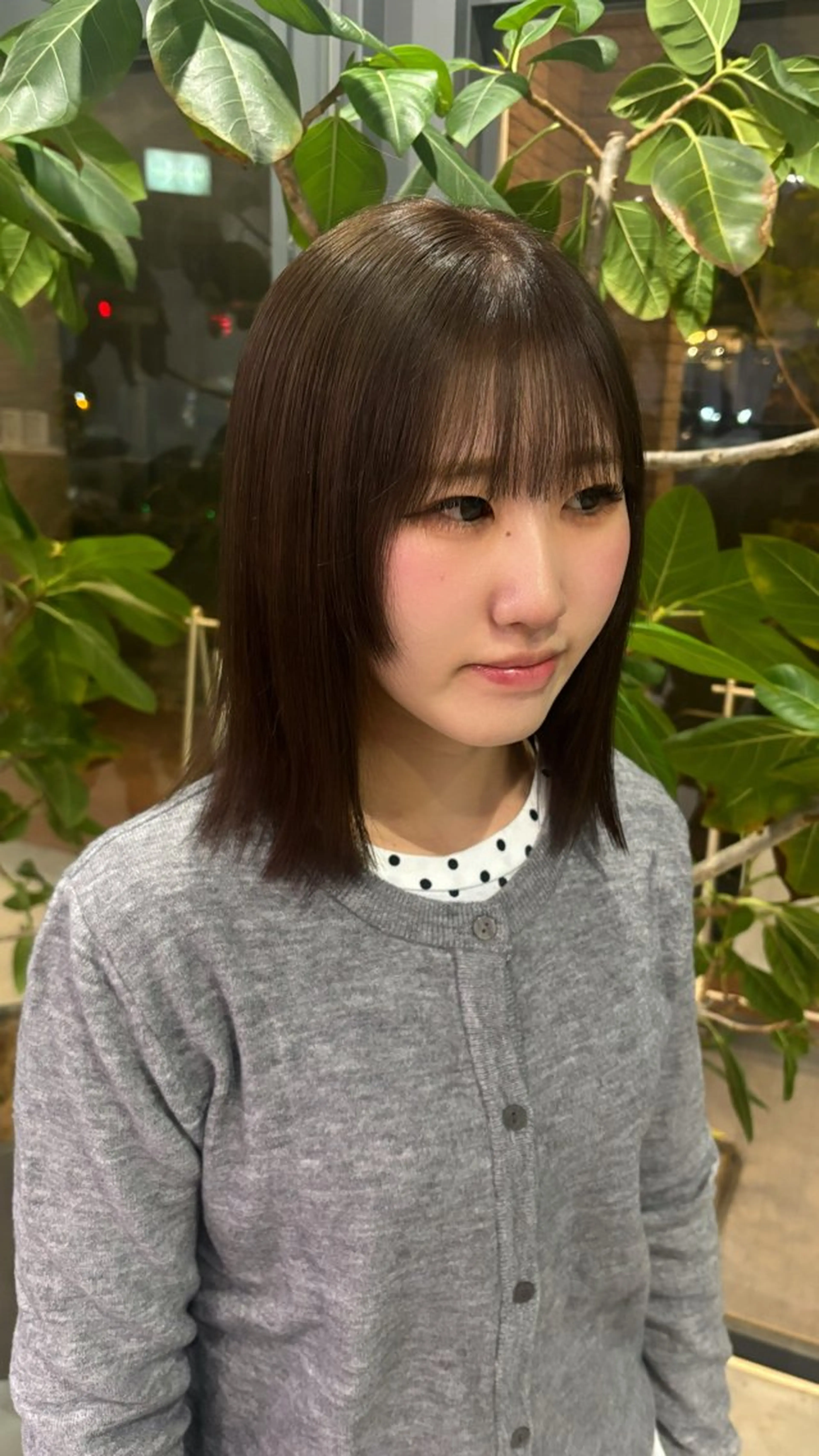 カラー ヘアカラー 🐈‍⬛JUMI /透明感カラー/🩶のヘアスタイル