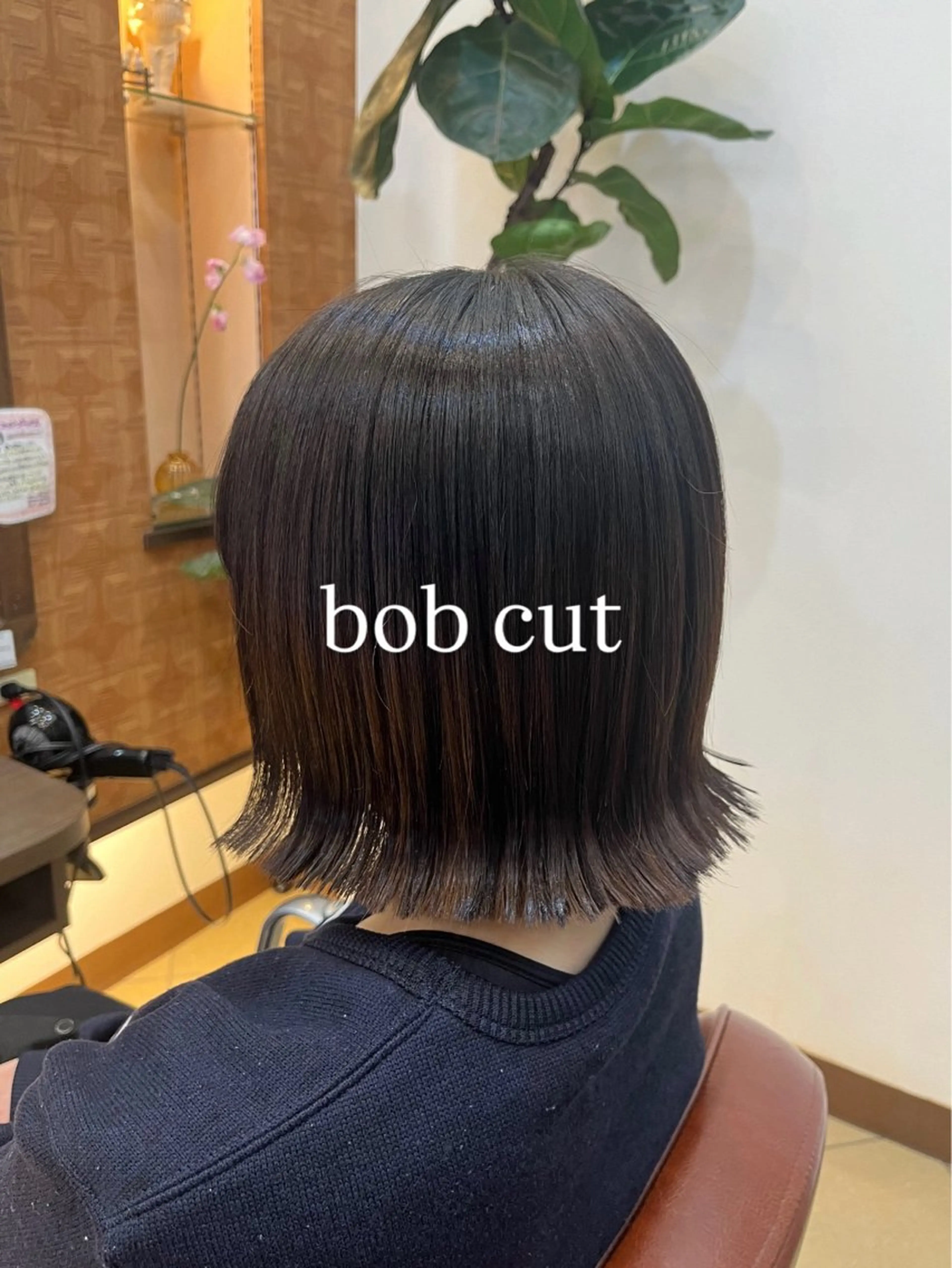 ボブカット（U24）の写真