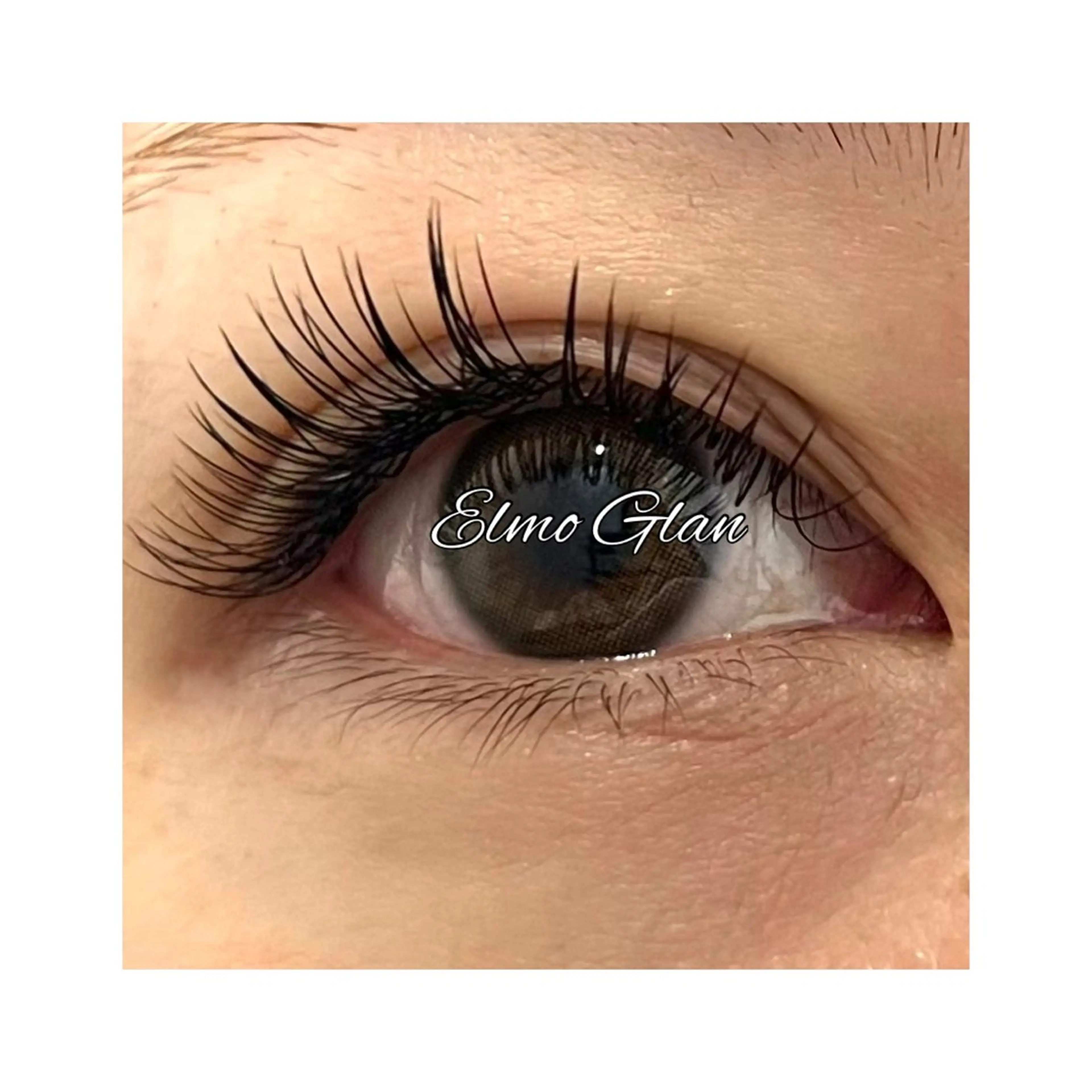 マツエク・マツパ マツエク Elmo Glan サカモトのマツエク・マツパデザイン