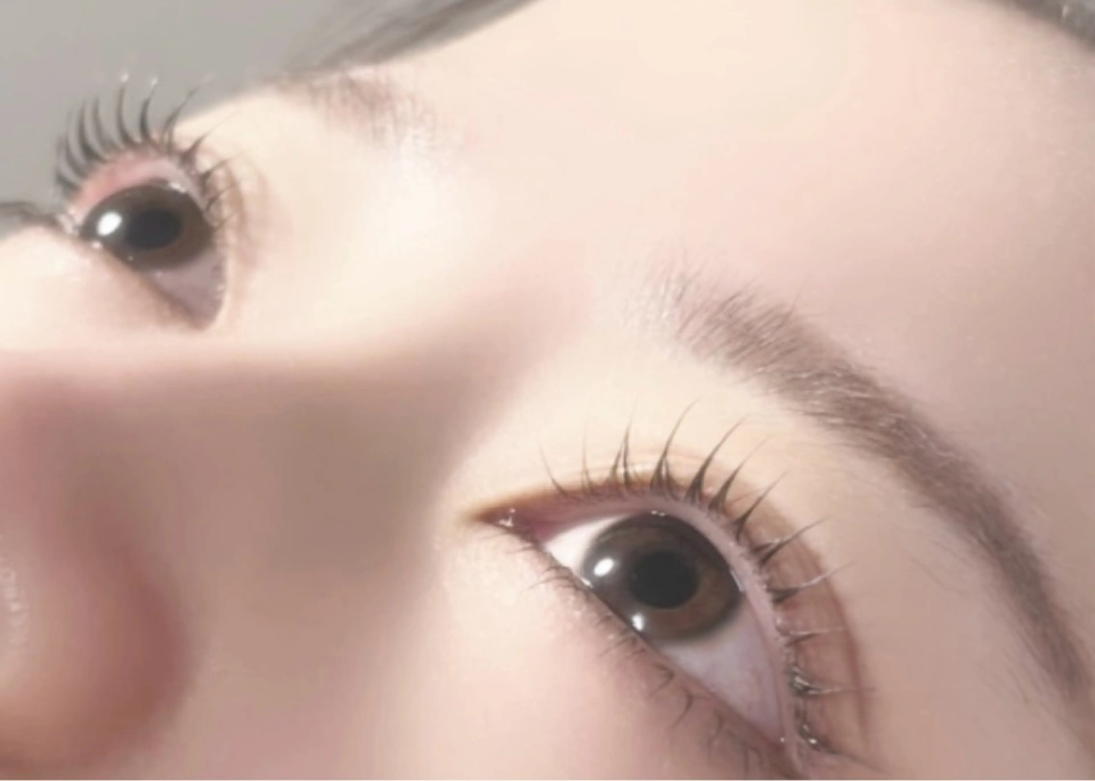 マツエク・マツパ マツパ マリーテレジア 🐨MIURAのマツエク・マツパデザイン