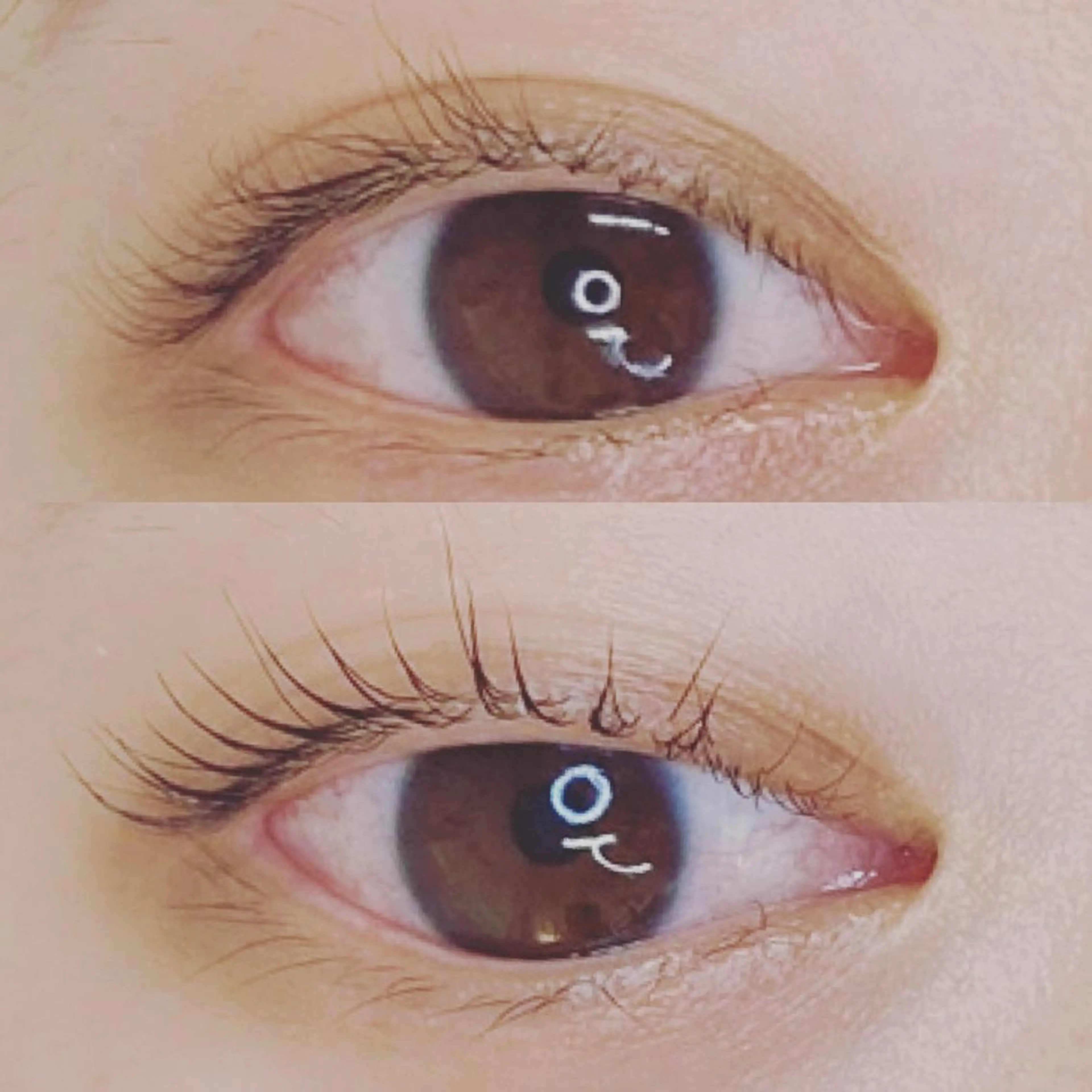 マツエク・マツパ マツパ moe所属・moe beautyのエステ・リラクイメージ