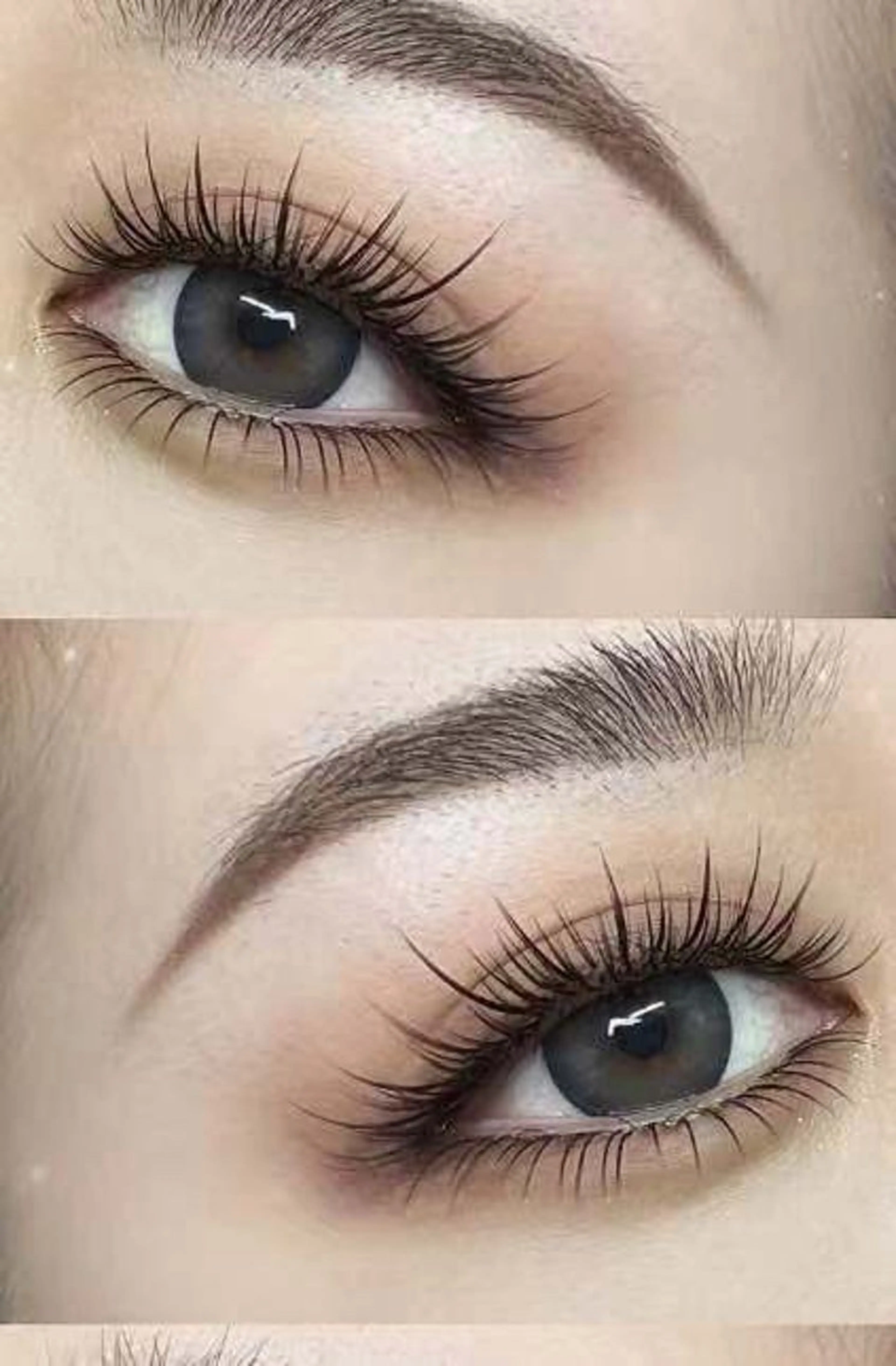 まつげパーマトリートメント(上)+眉毛スタイリングセットの写真