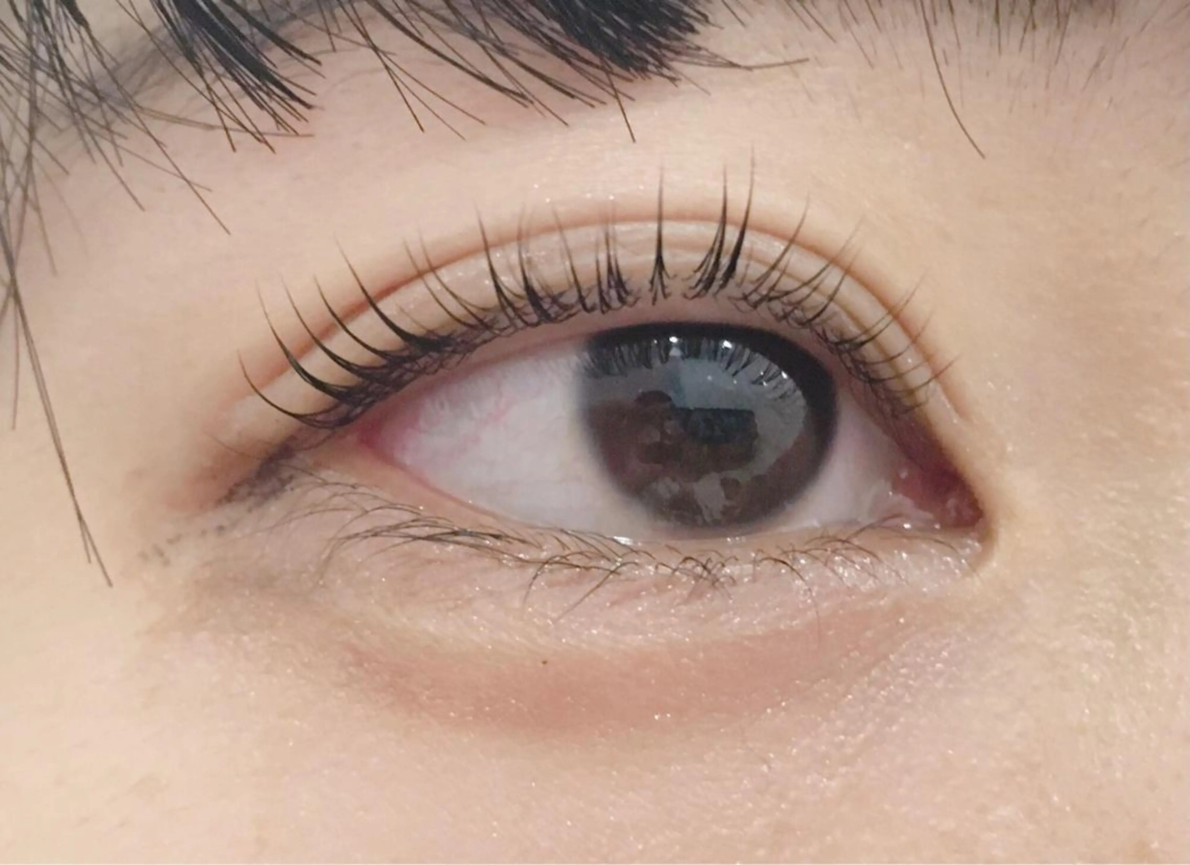 マツエク・マツパ La Peche momokoのマツエク・マツパデザイン