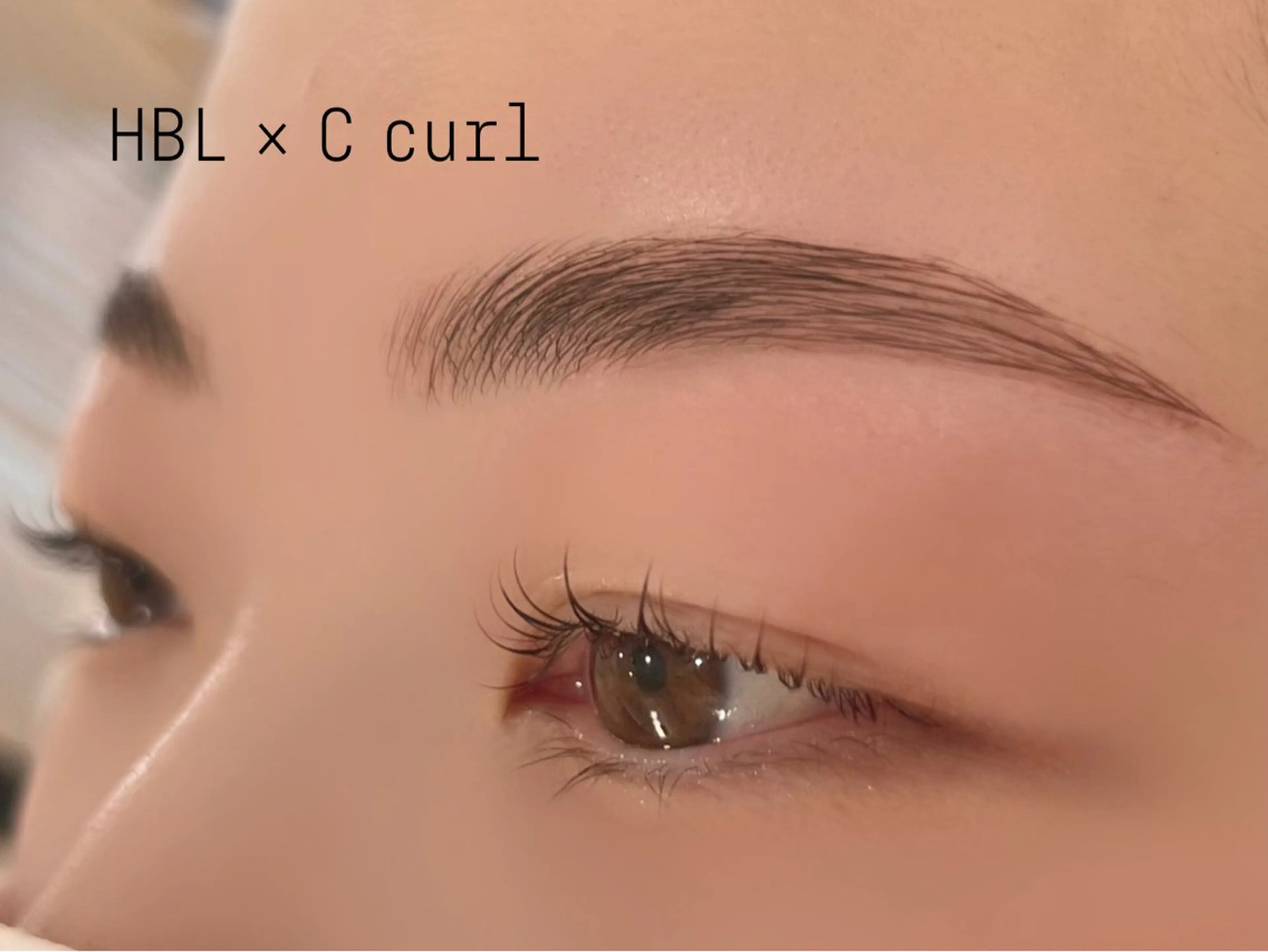 《セット》まつ毛パーマ+ハリウッドブロウリフトの写真