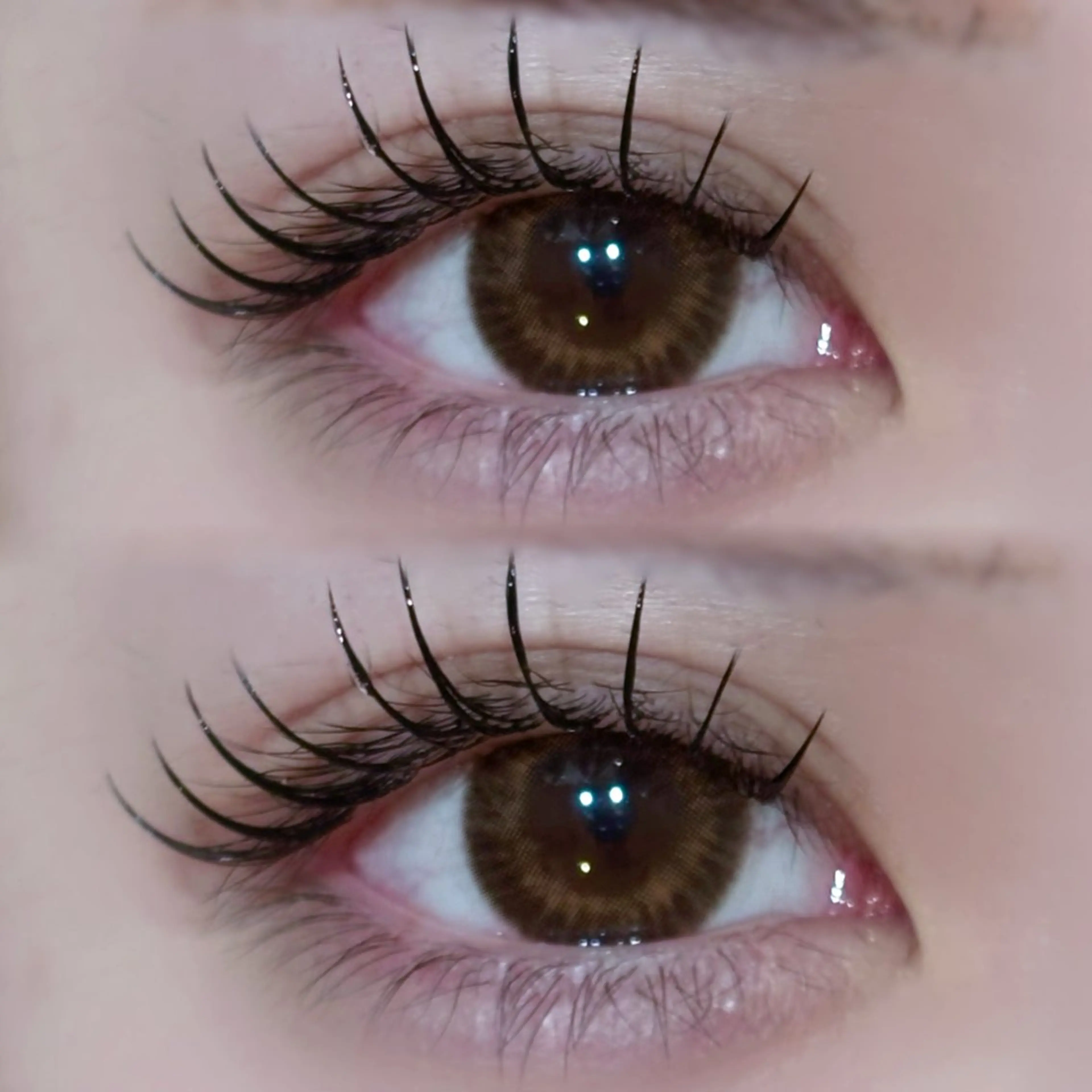 マツエク・マツパ EYELA🤍 蓜島のマツエク・マツパデザイン