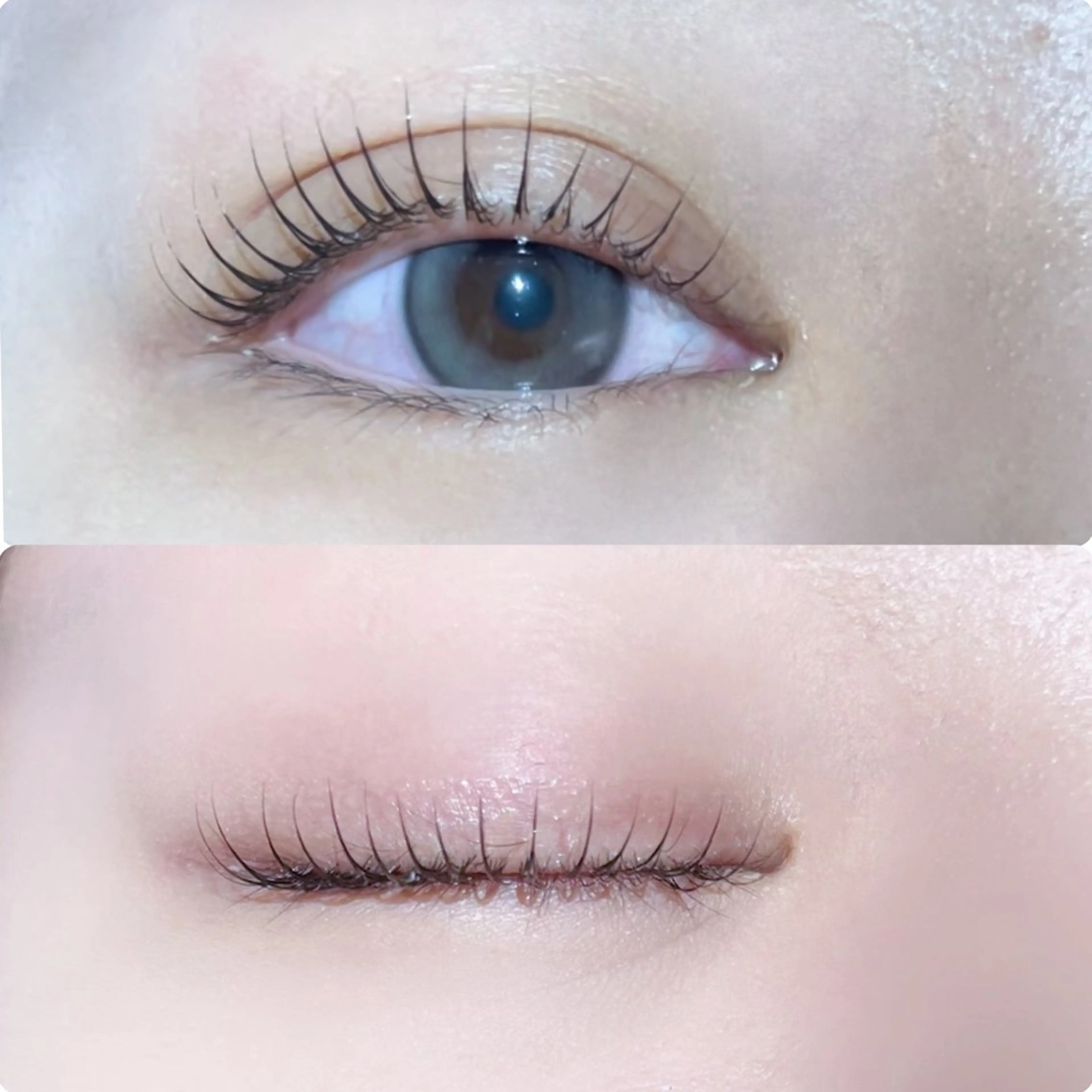 【minimo限定🍑ᐝ】選べる韓国カール🇰🇷まつ毛パーマ🤍ྀི¥3980の写真