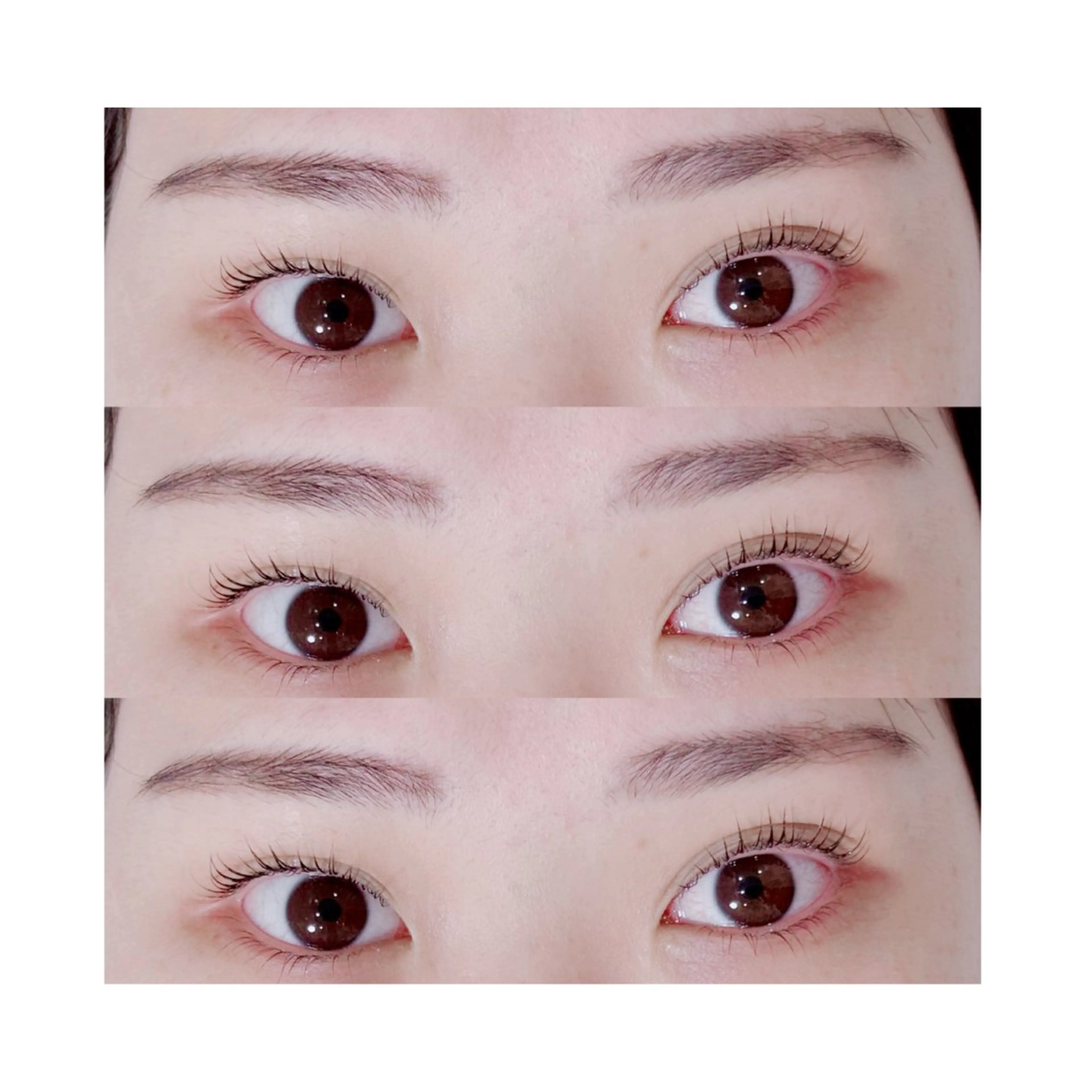 上下パリジェンヌラッシュリフト＋コーティングの写真