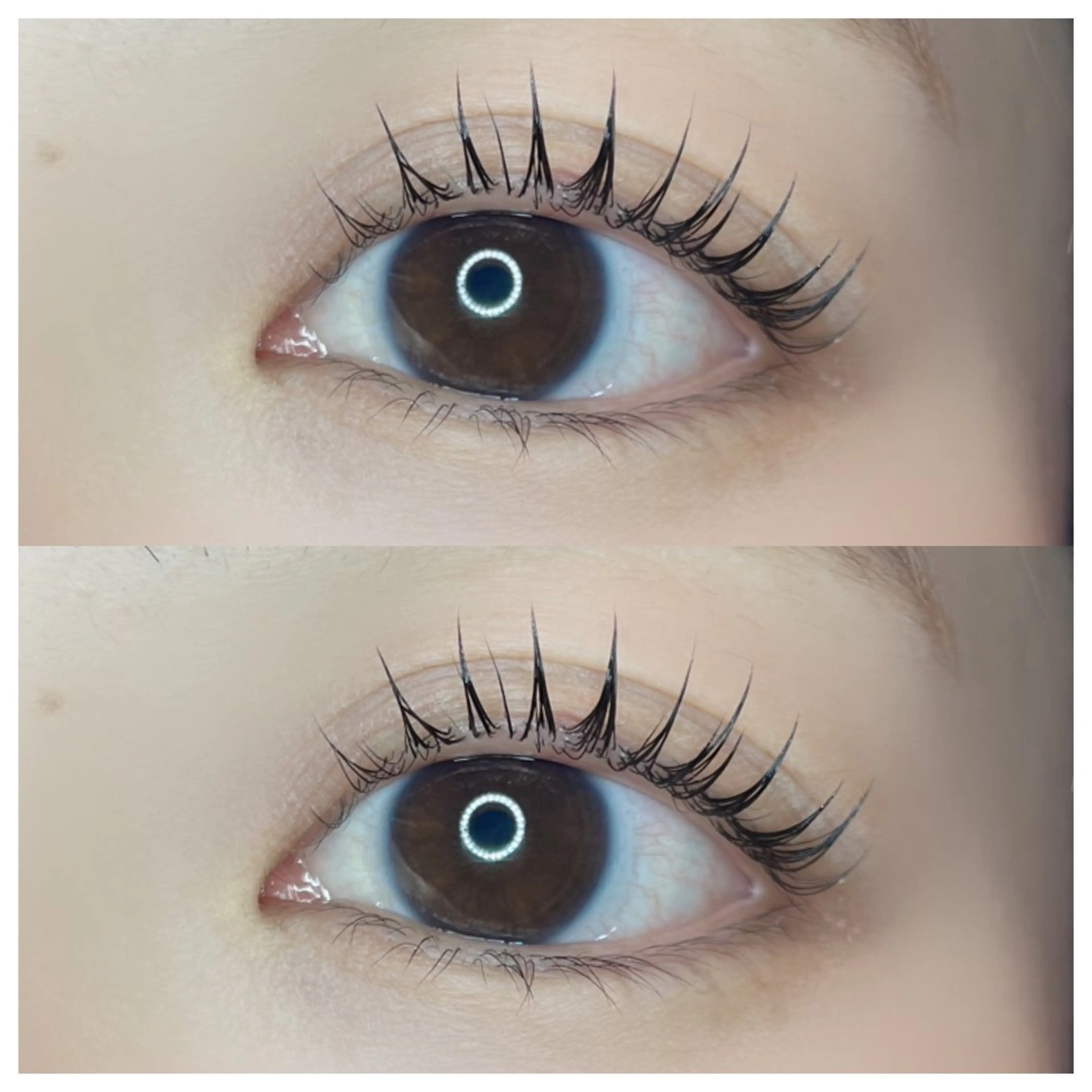 5週間以内の再来限定⭐︎ラッシュリフト🐹¥6,100の写真