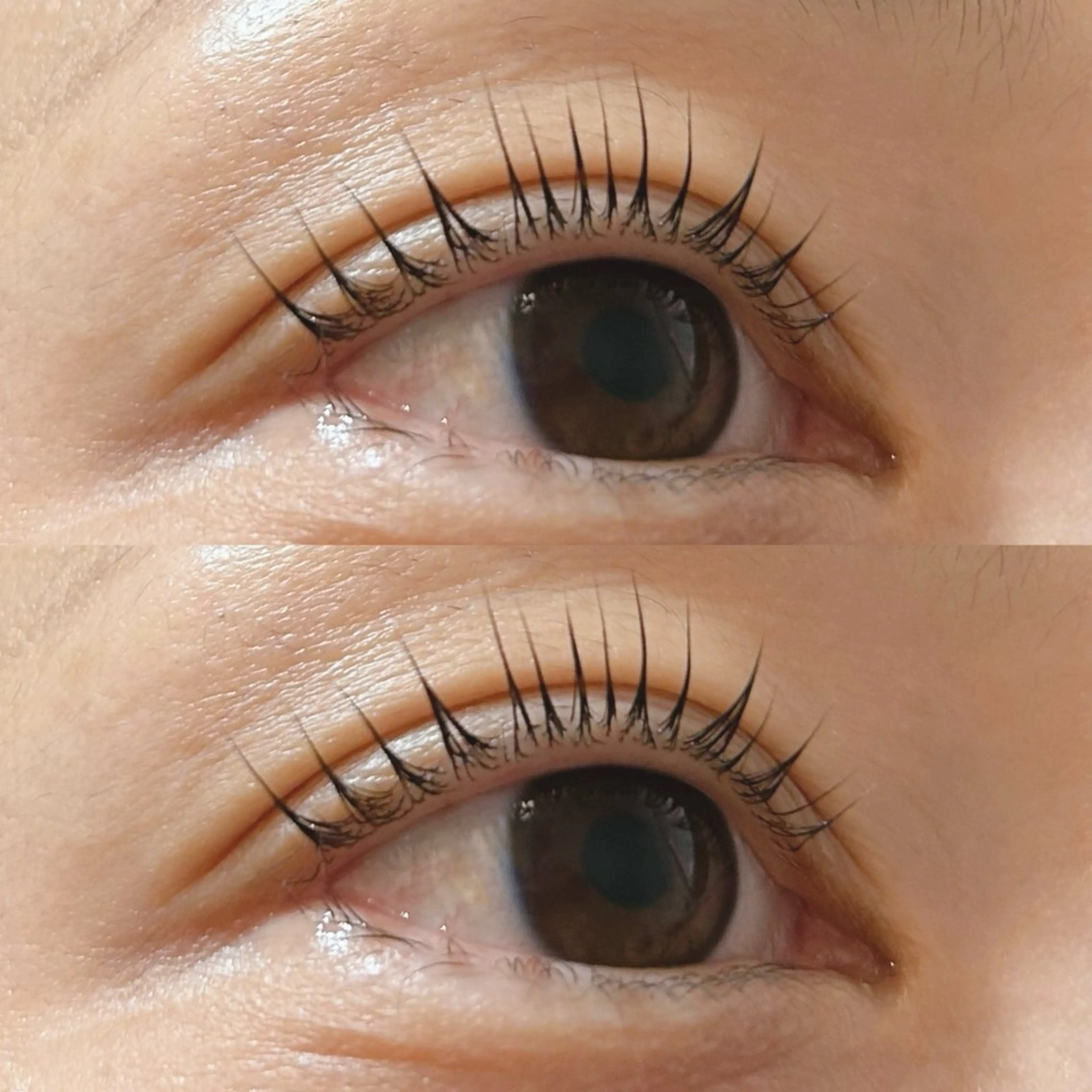 マツエク・マツパ マツパ Rise 🎀のマツエク・マツパデザイン