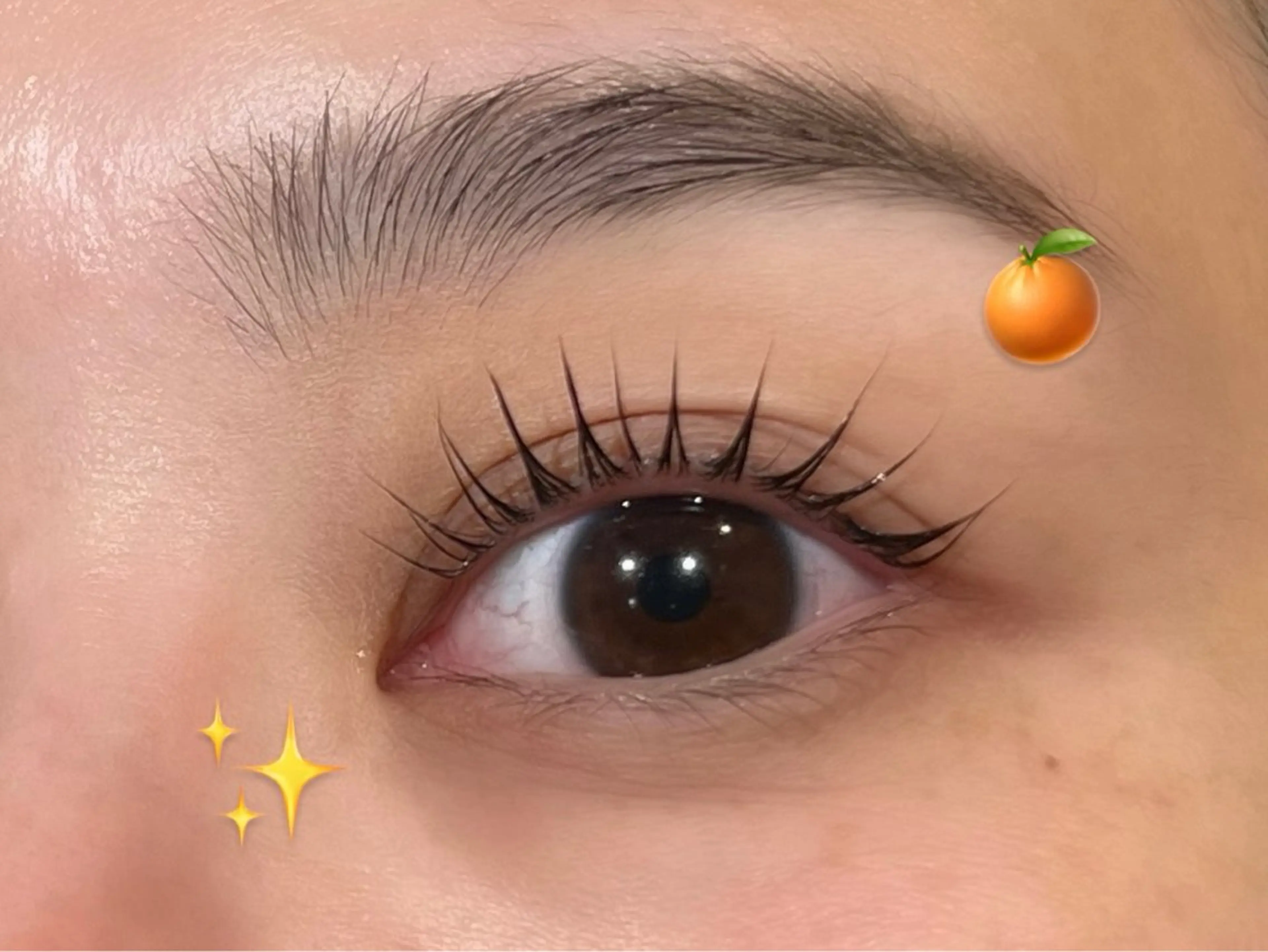 🍒✨️選べる上まつげパーマ✨️👠【ジュニアクーポン】の写真