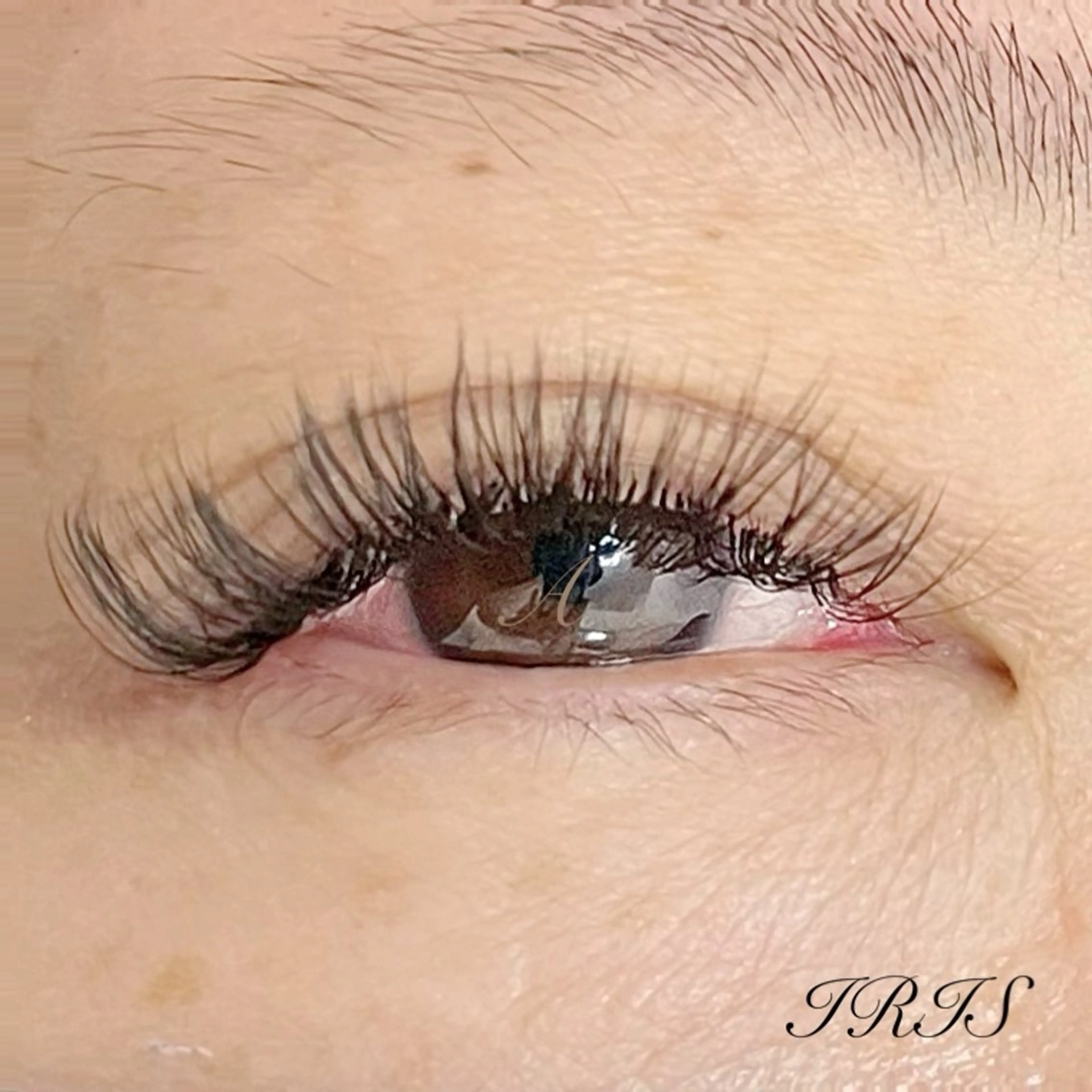 マツエク・マツパ ボリュームラッシュ マツエク IRIS🫧 Ayaのマツエク・マツパデザイン