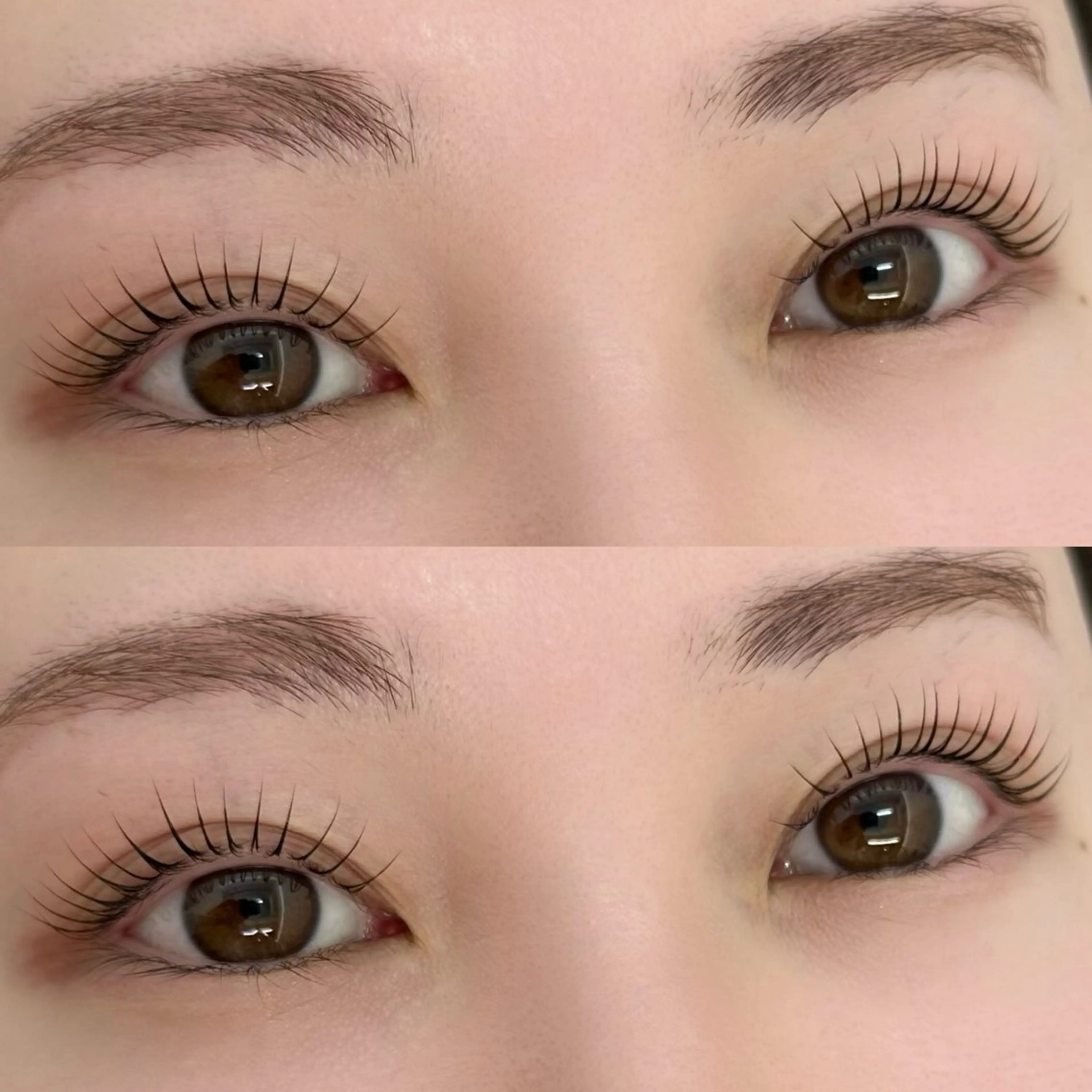 【☆*:.｡. 新規限定.｡.:*☆】🌼ラッシュリフト＋アイブロウスタイリング🌼の写真