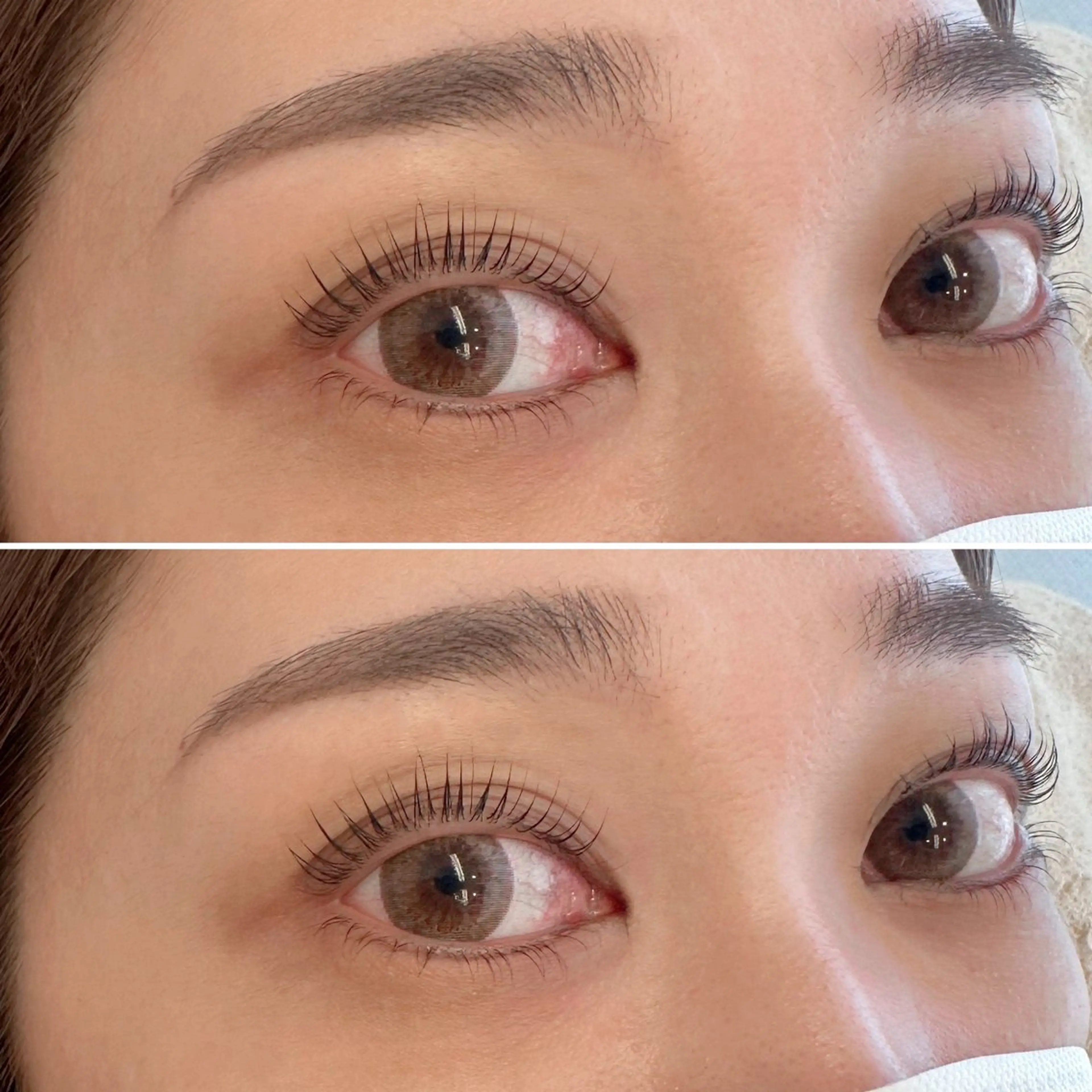 【平日限定】パリジェンヌ×アイブロウワックスのセット価格🌟 高保湿トリートメント付き🌟¥8200の写真