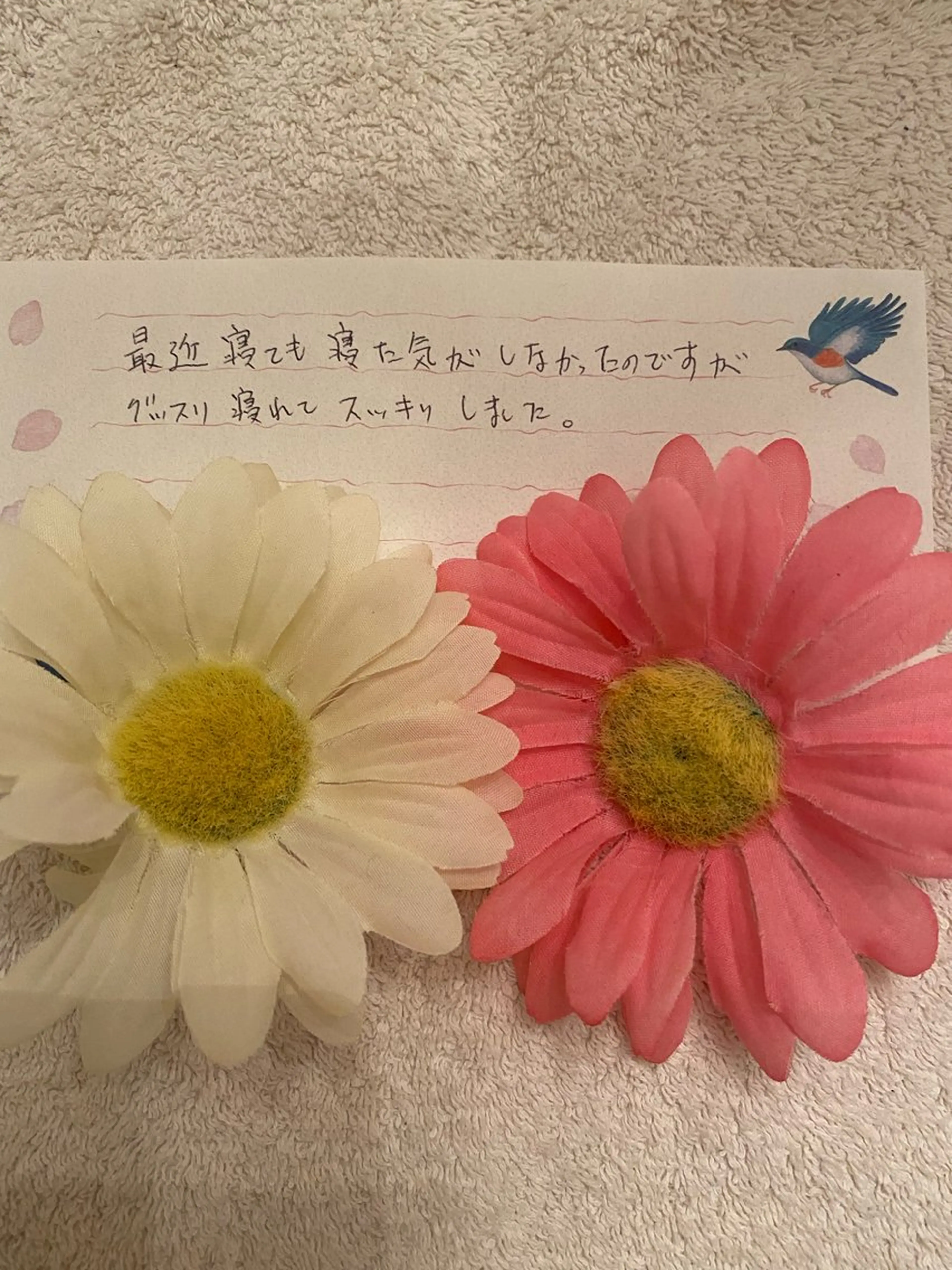 R E O T I A R A（レオティアラ）所属・高屋 昌子のその他イメージ