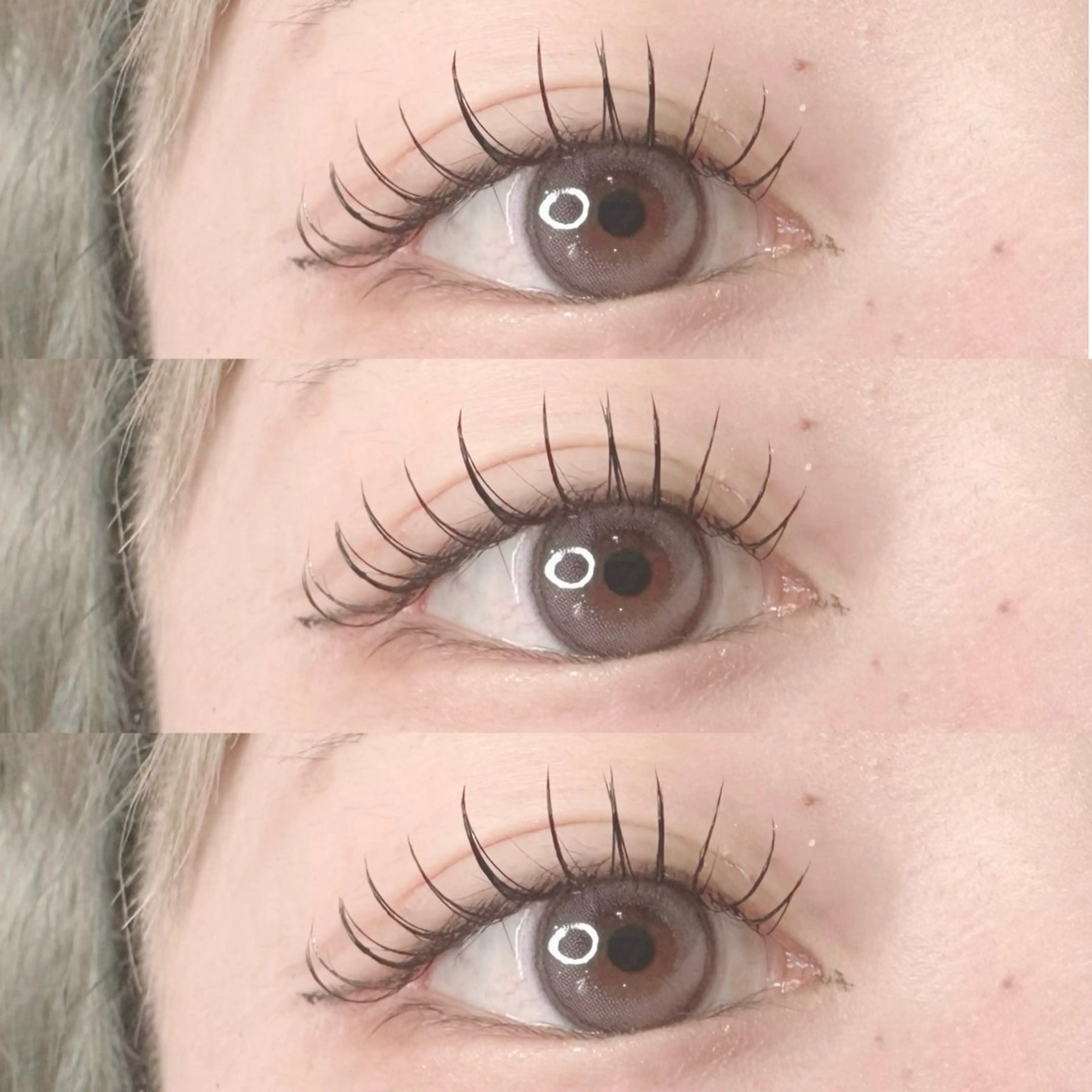 【セーブル】まつ毛エクステ練習モデル🎀　80​〜​100本の写真