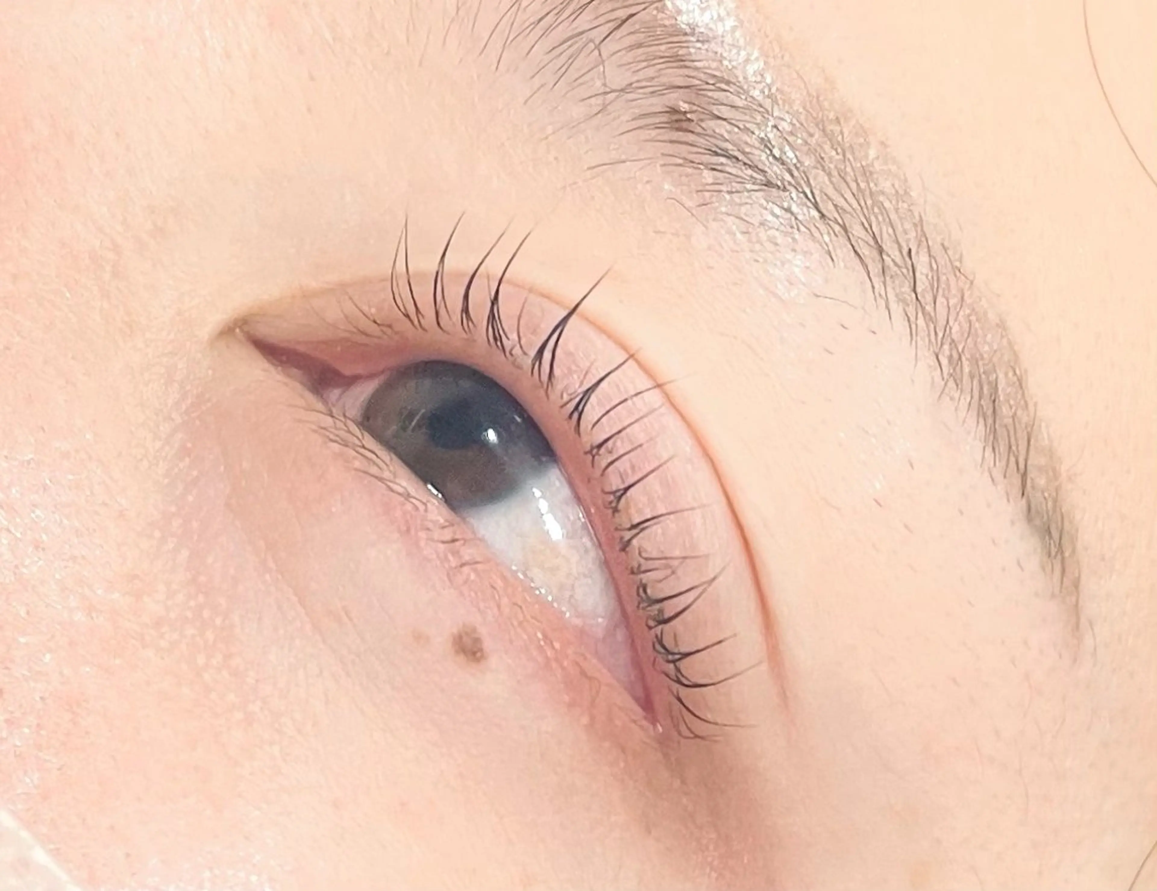 マツエク・マツパ ナチュラル マツパ ビューティースペース れんのマツエク・マツパデザイン