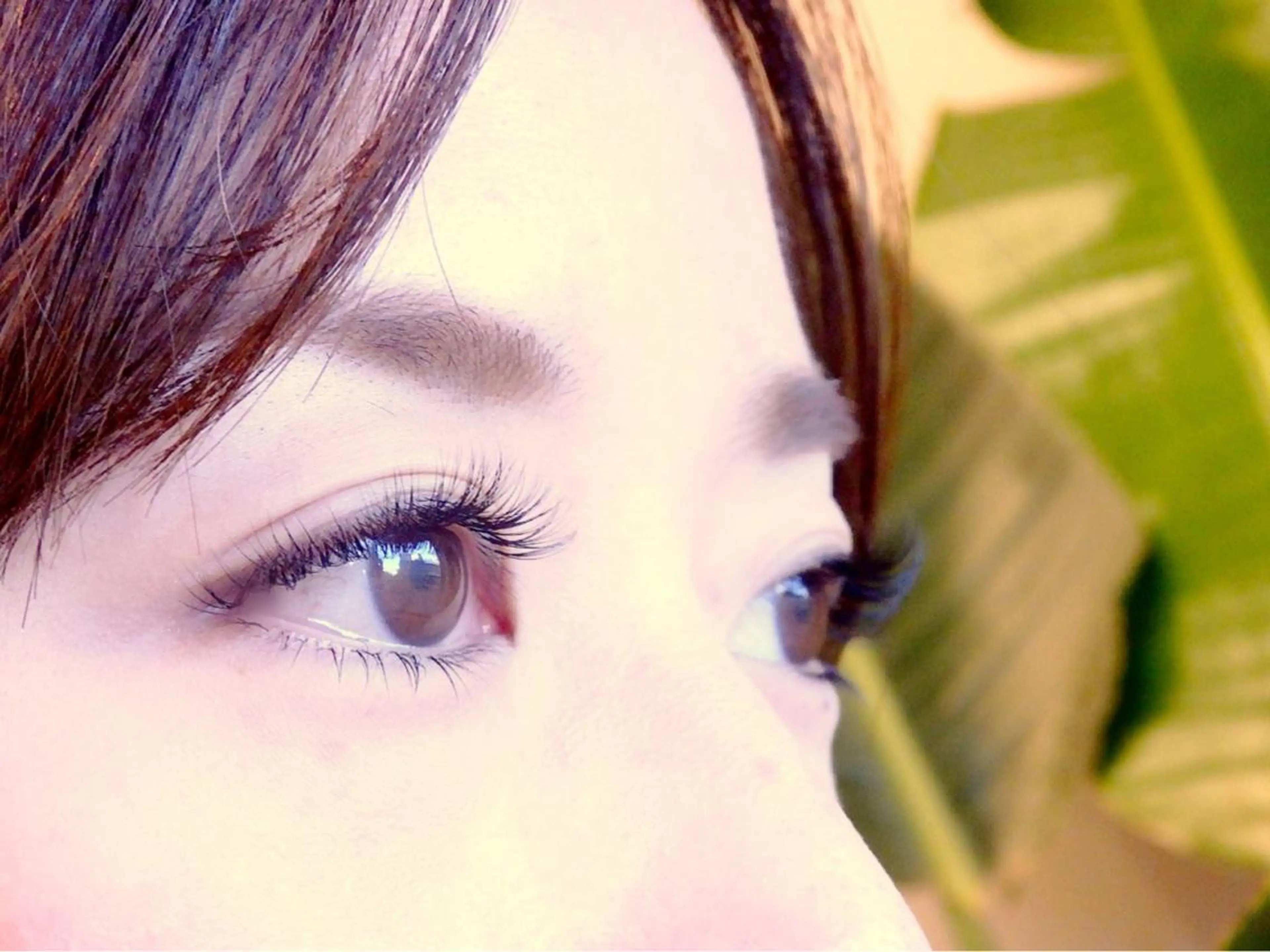 マツエク・マツパ まつげと眉の専門店　Sylph所属・西村 ちひろのマツエク・マツパデザイン