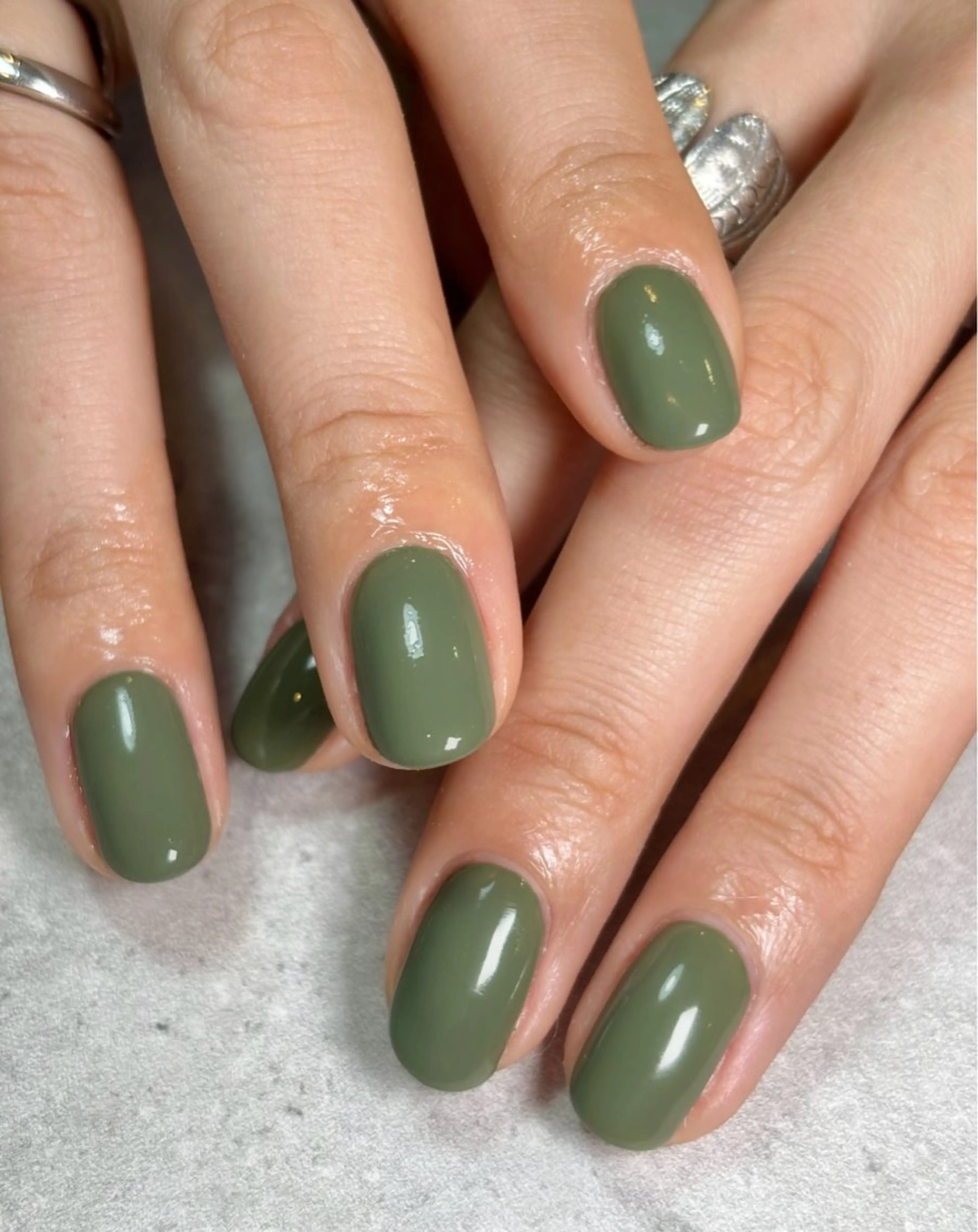 【オフなし】ワンカラー🐶の写真