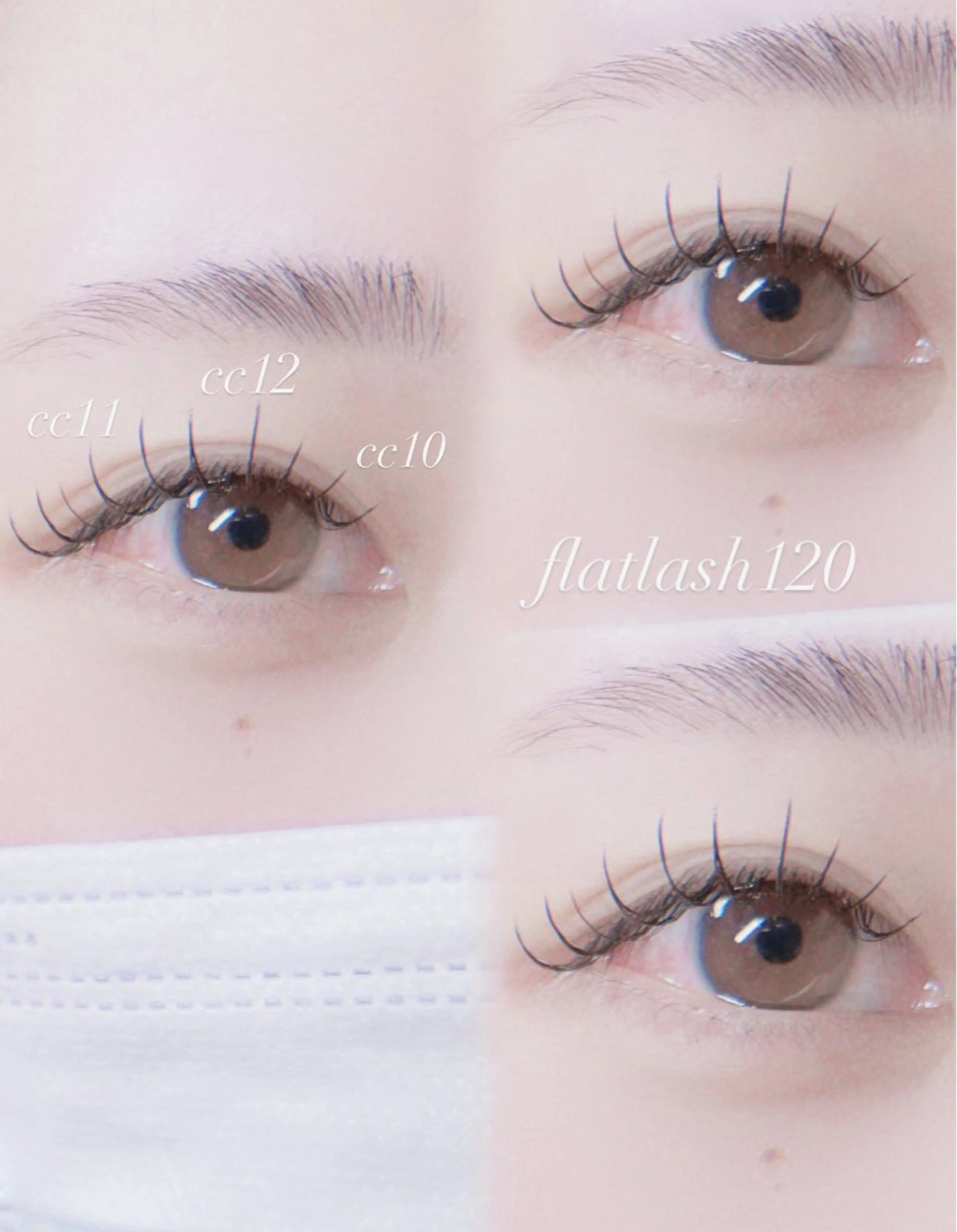 フラットマットラッシュ100本の写真